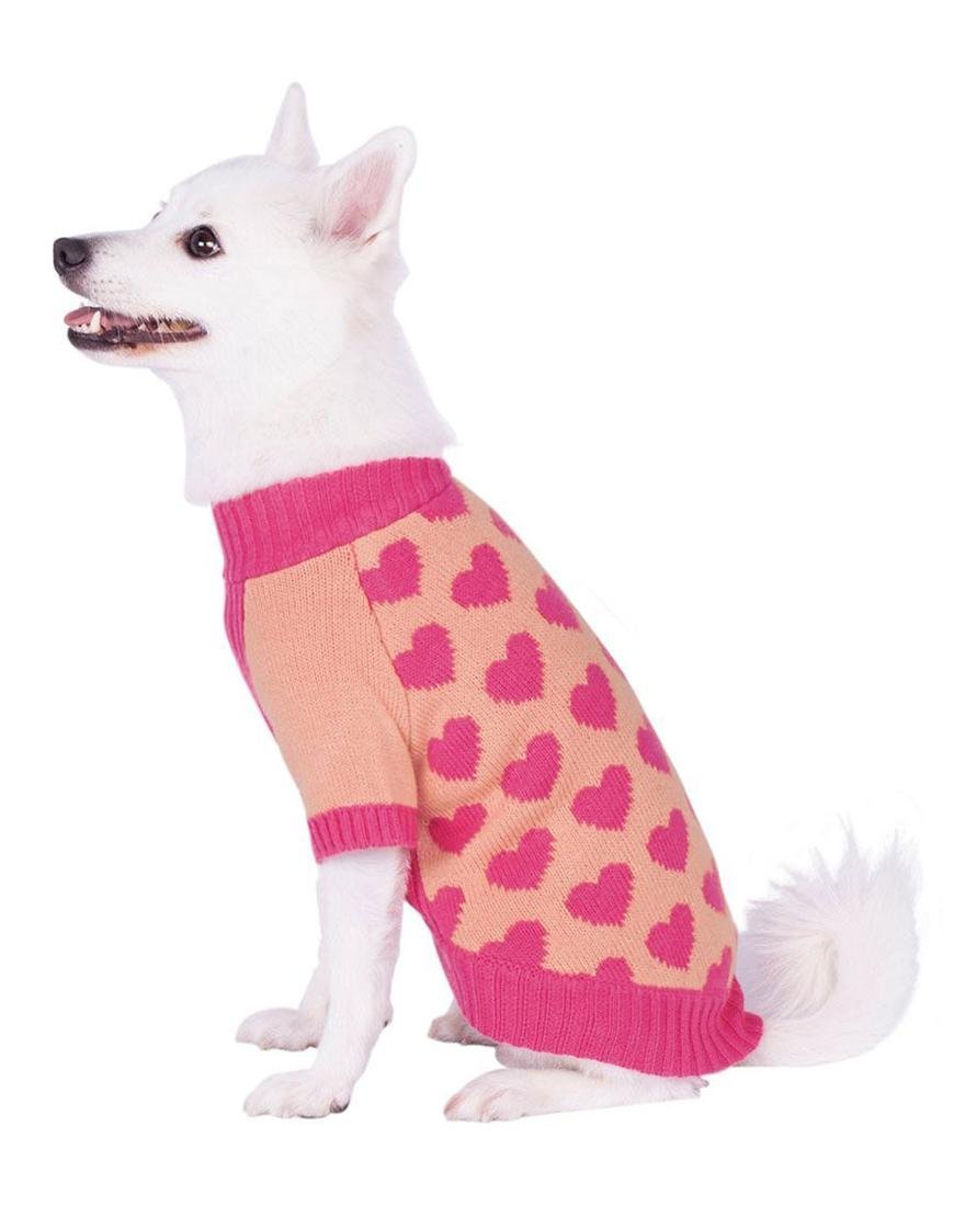VALENTINE'S DAY FOR SMALL DOGS