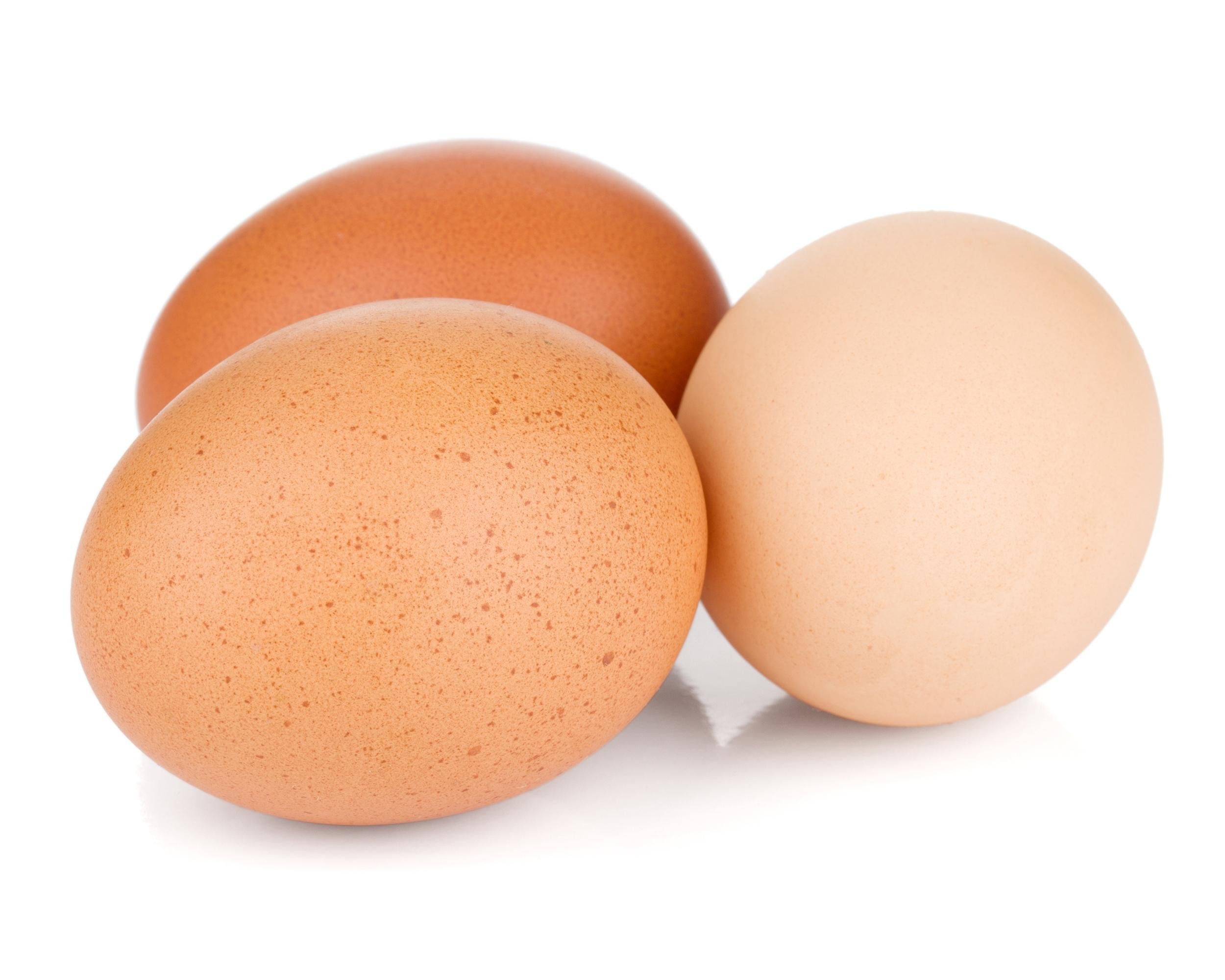 EGGS