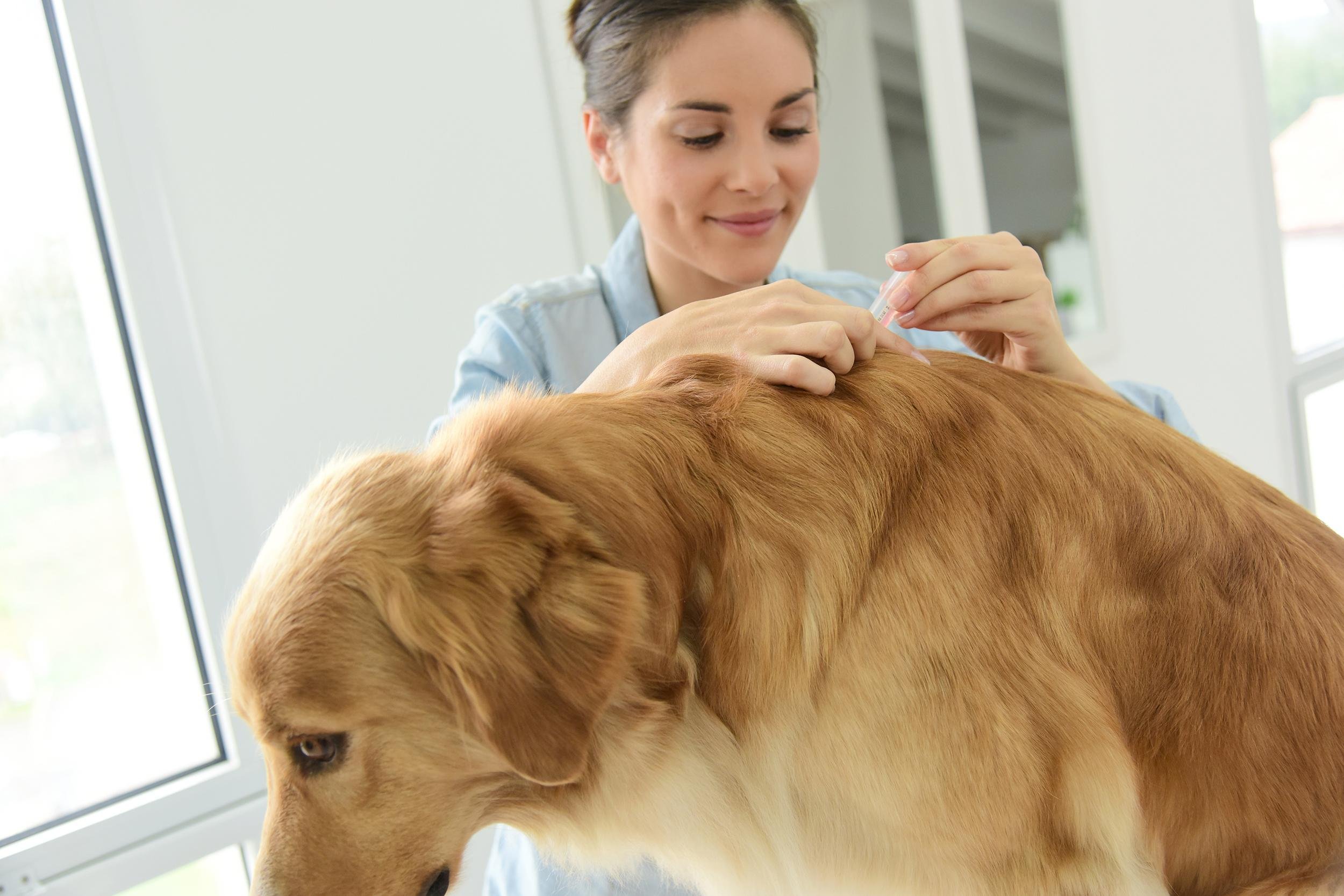 PROTECT AGAINST FLEAS AND TICKS