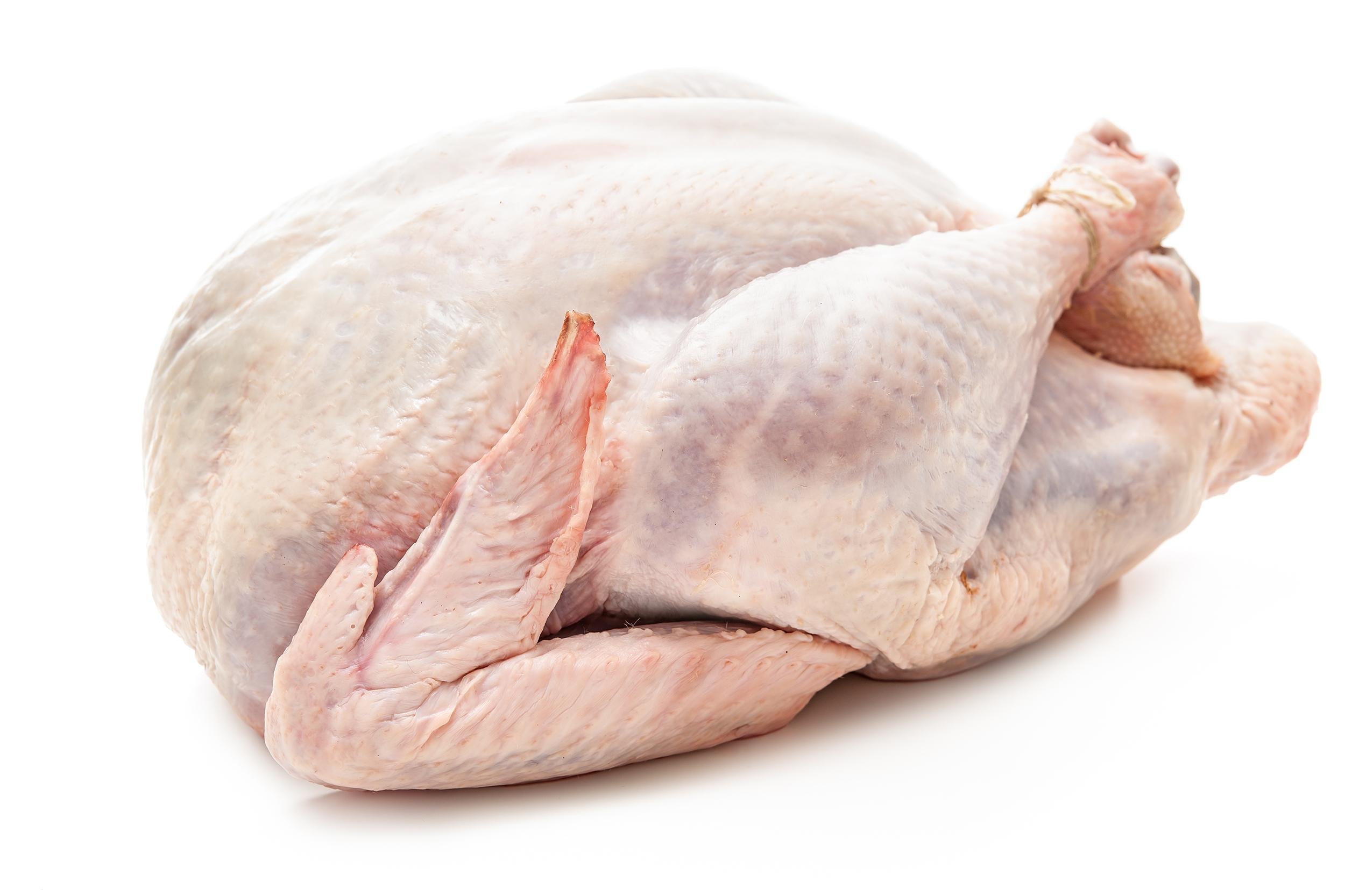 TURKEY