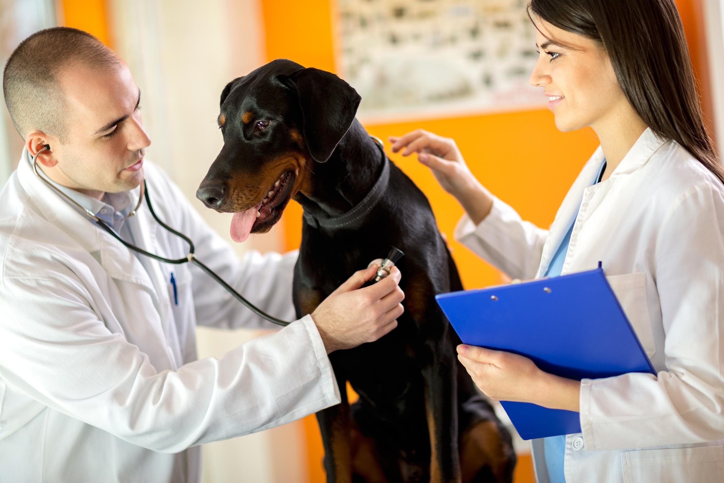 SPEND MONEY ON PREVENTIVE CARE