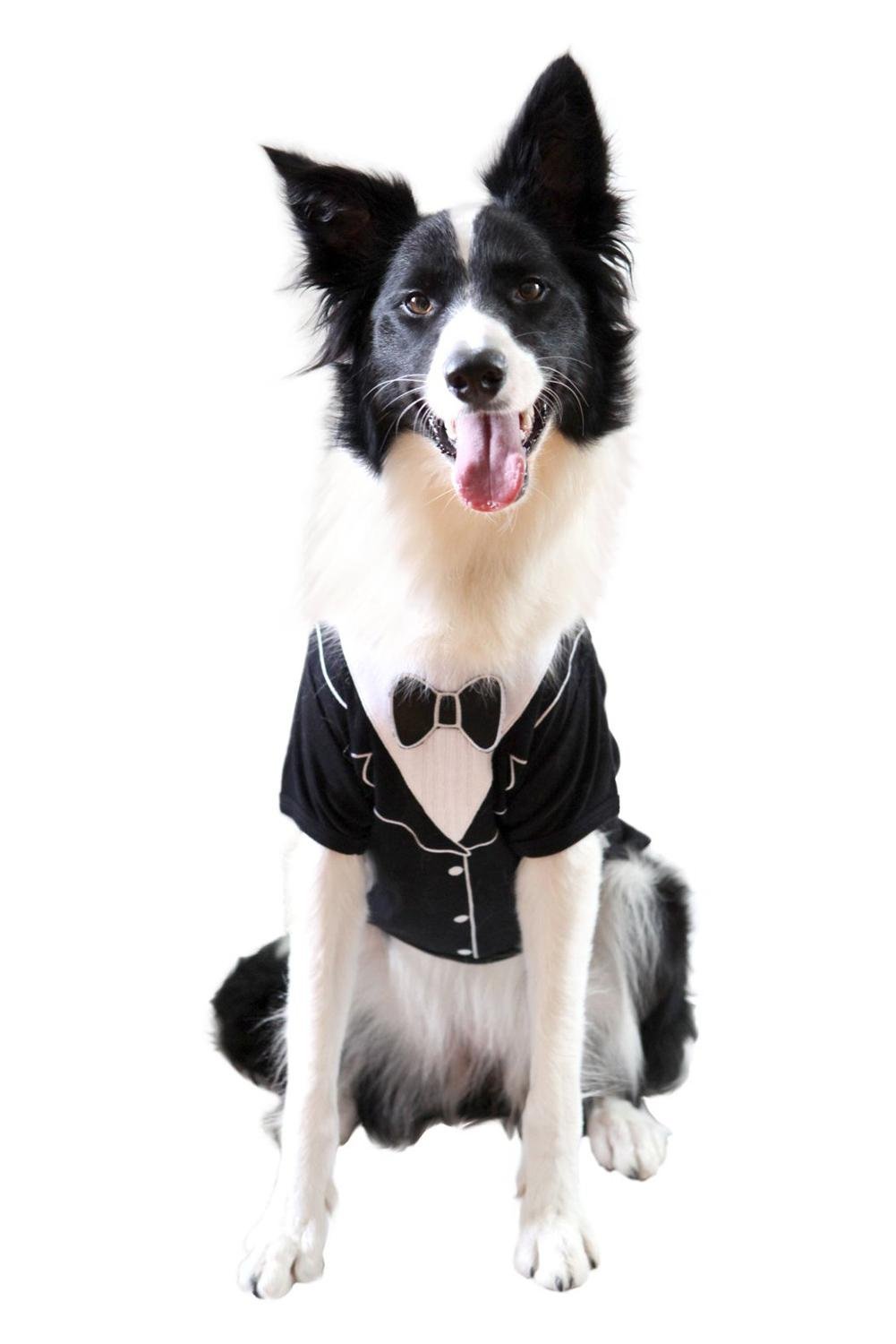 TUXEDO FOR SMALL DOGS