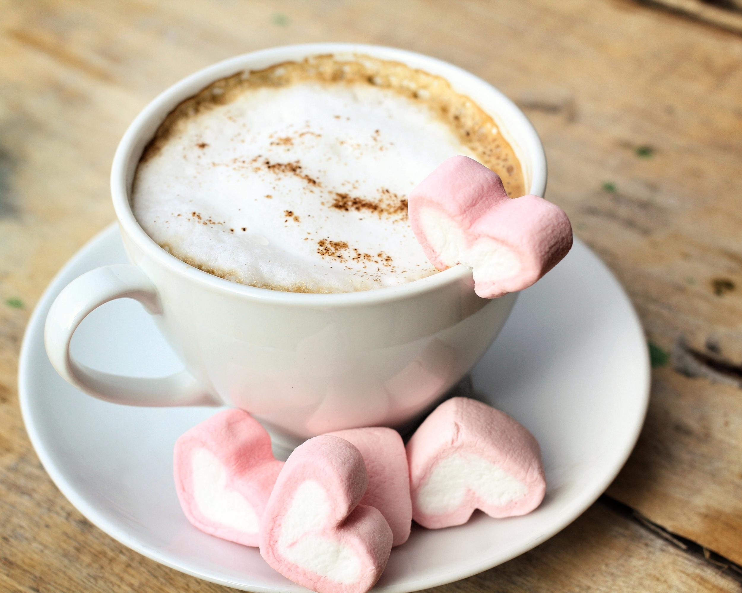 HOT CHOCOLATE