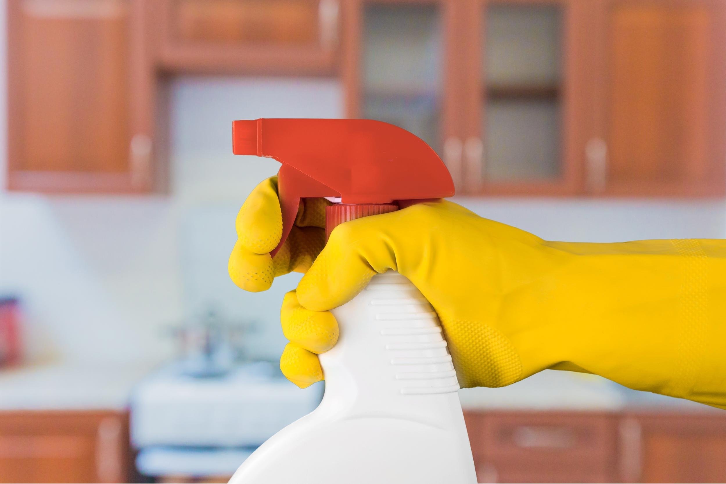 CLEAN THE HOUSE