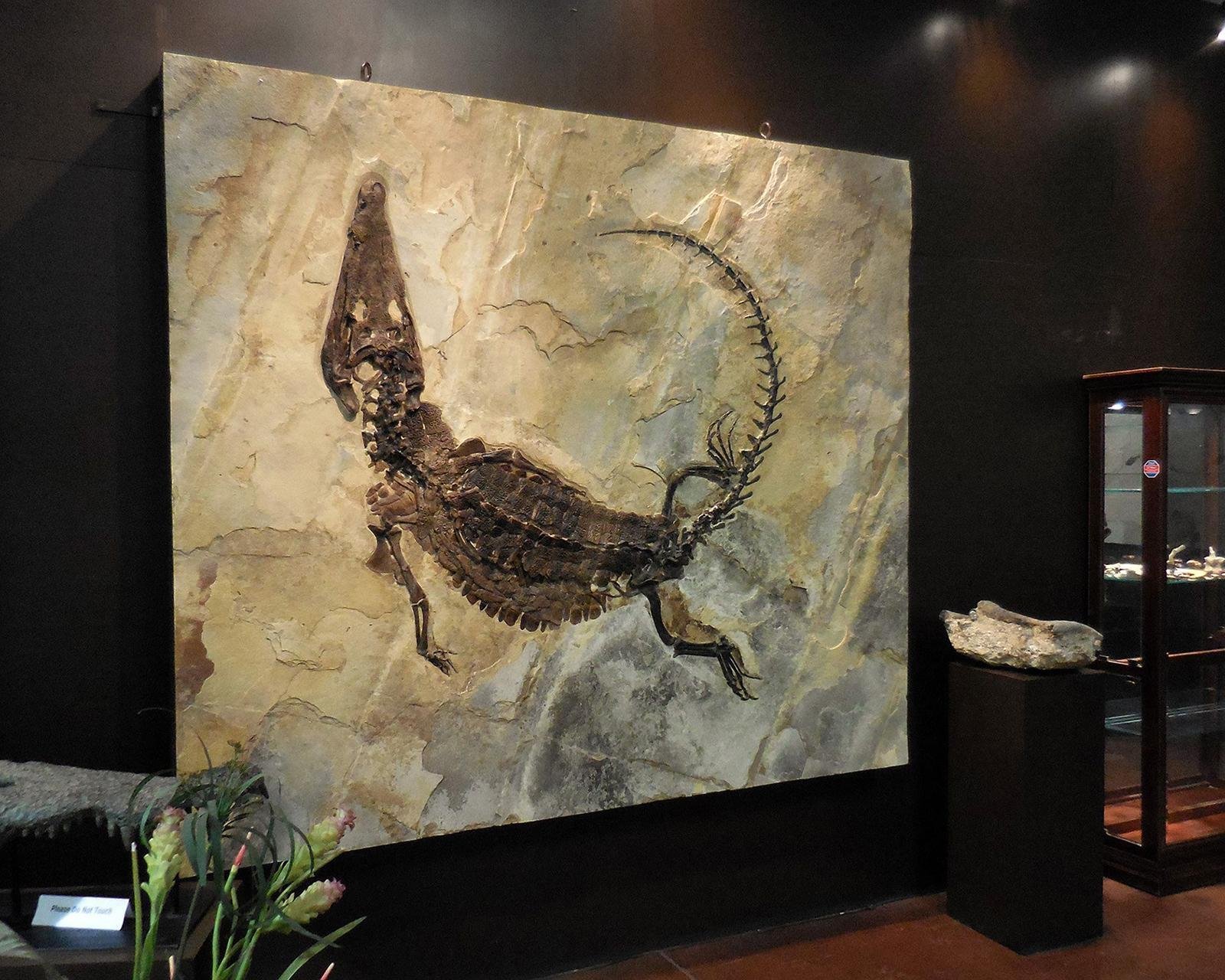 UNIVERSITY OF WISCONSIN-MADISON: GEOLOGY MUSEUM