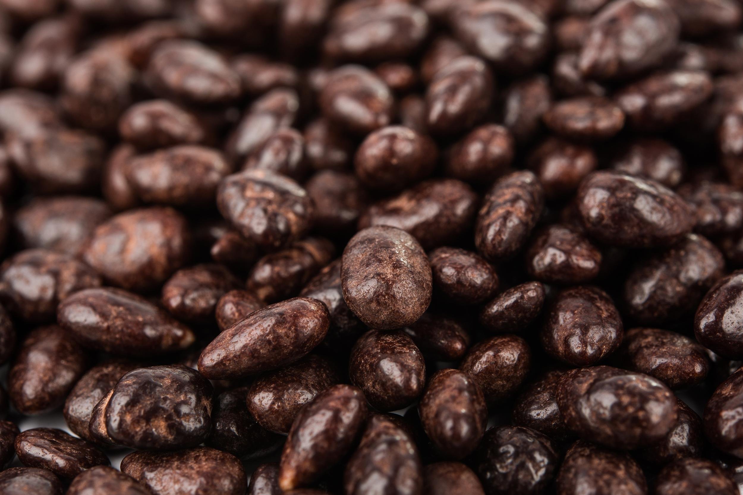 CHOCOLATE-COVERED SUNFLOWER SEEDS