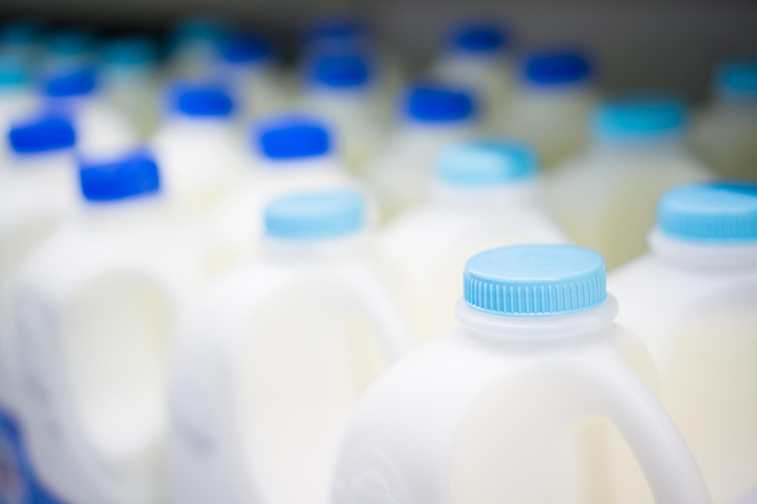 MILK PRODUCTS