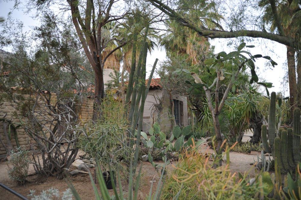 ADMIRE THE CACTI AT THE MOORTEN BOTANICAL GARDEN