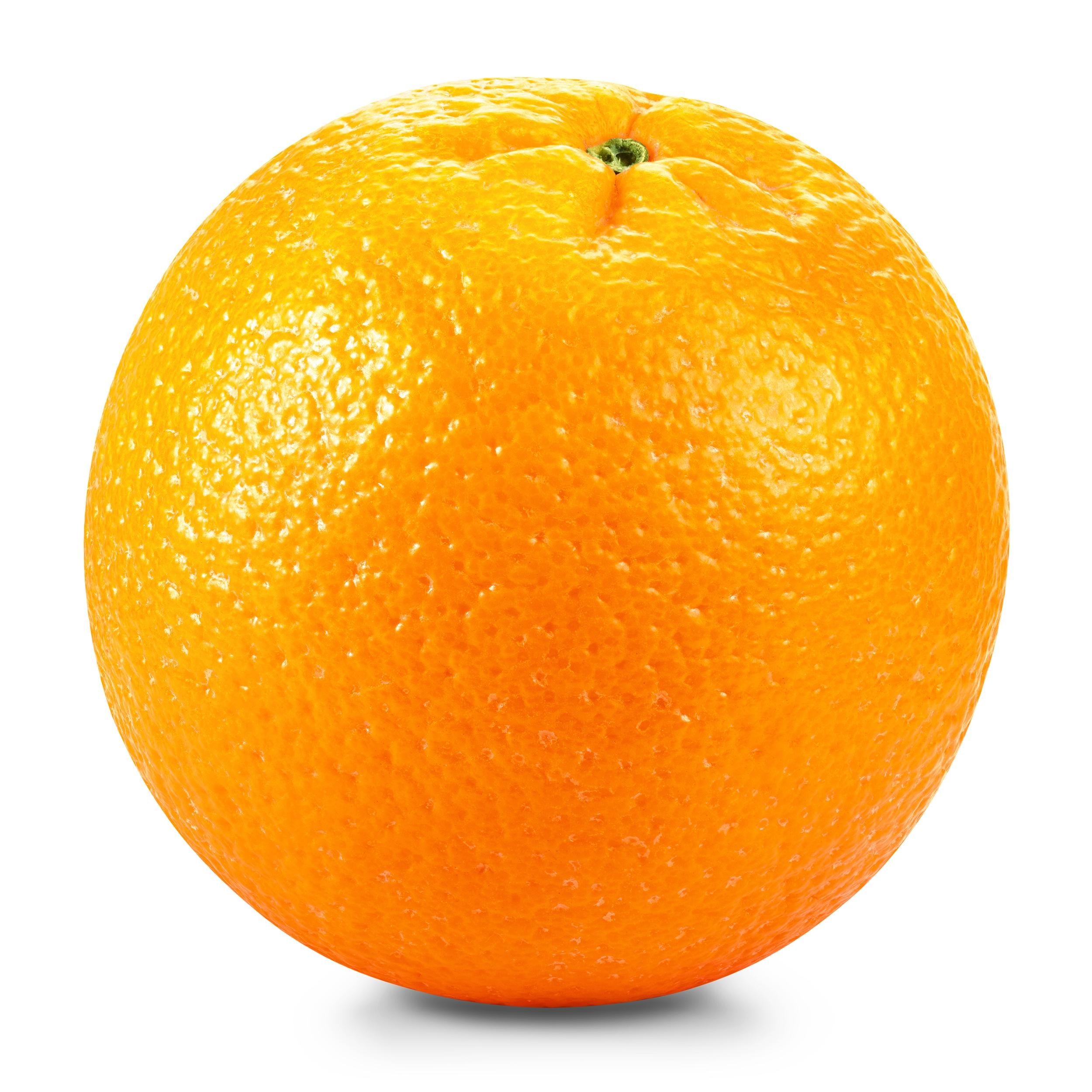 CITRUS STAR