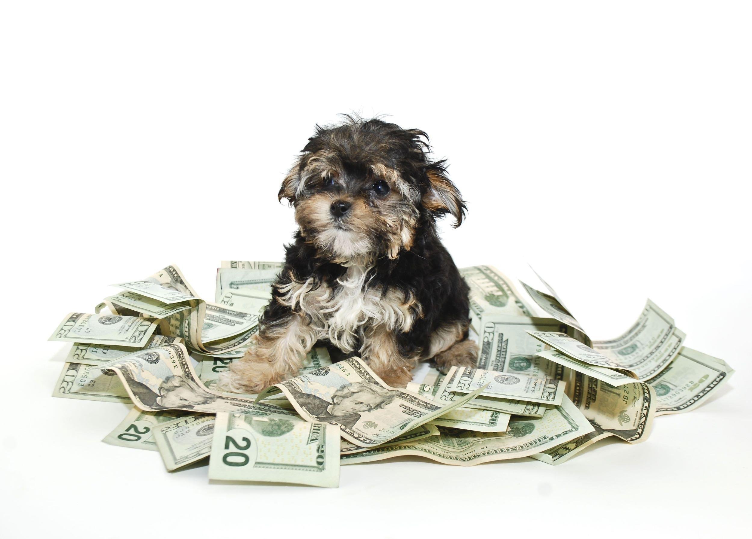 SAVE MONEY LONG-TERM