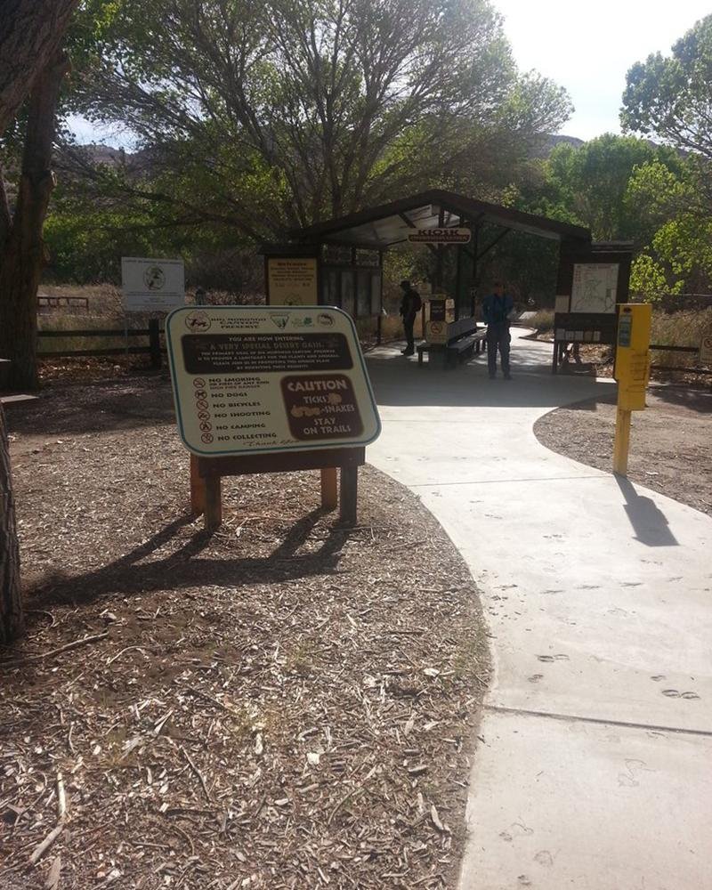 GO WILD AT THE BIG MORONGO CANYON PRESERVE