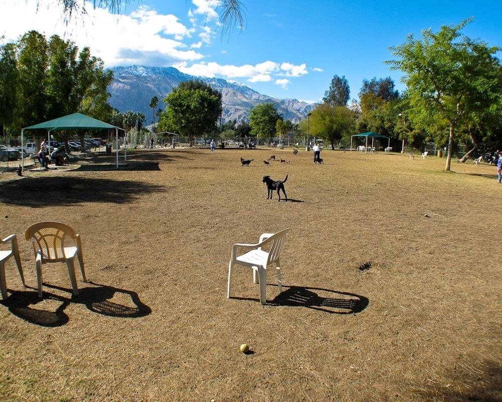 ENJOY THE PALM SPRINGS DOG PARK