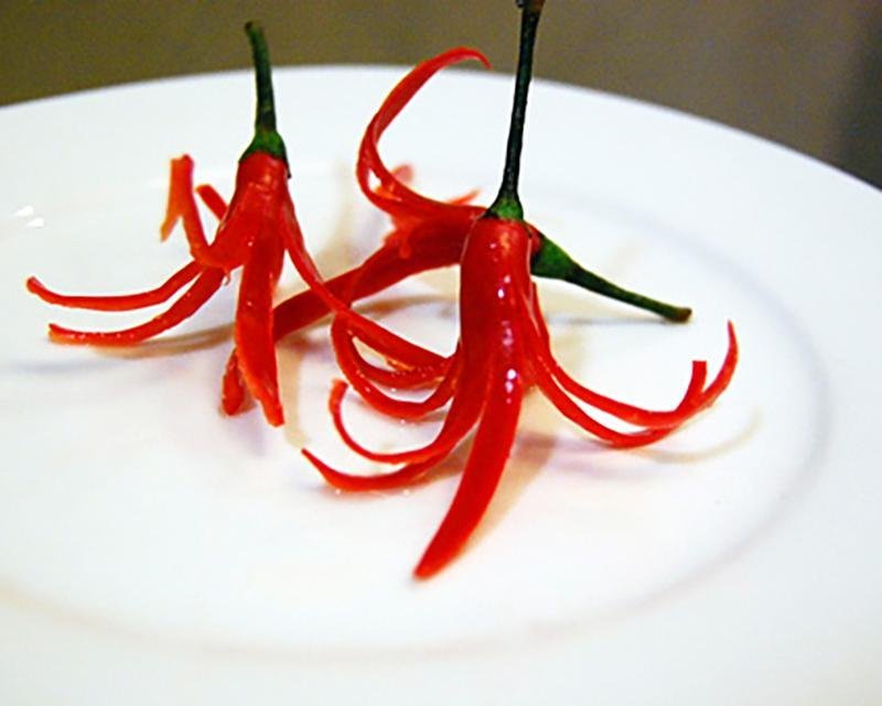 CHILI FLOWER