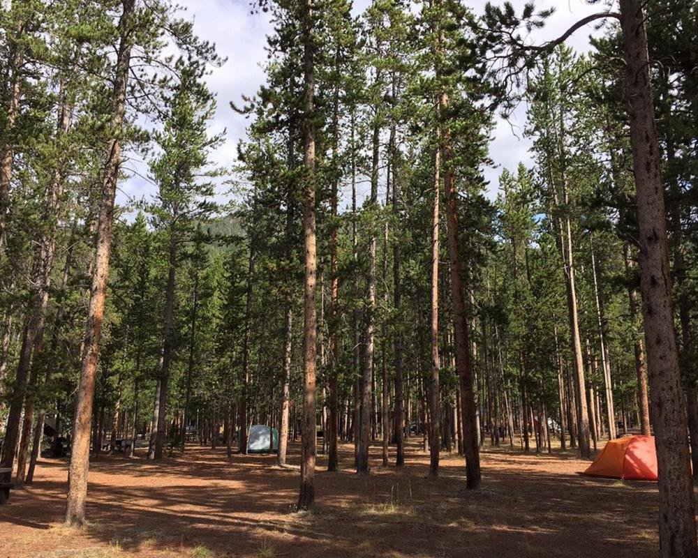 YELLOWSTONE NATIONAL PARK CAMPGROUNDS