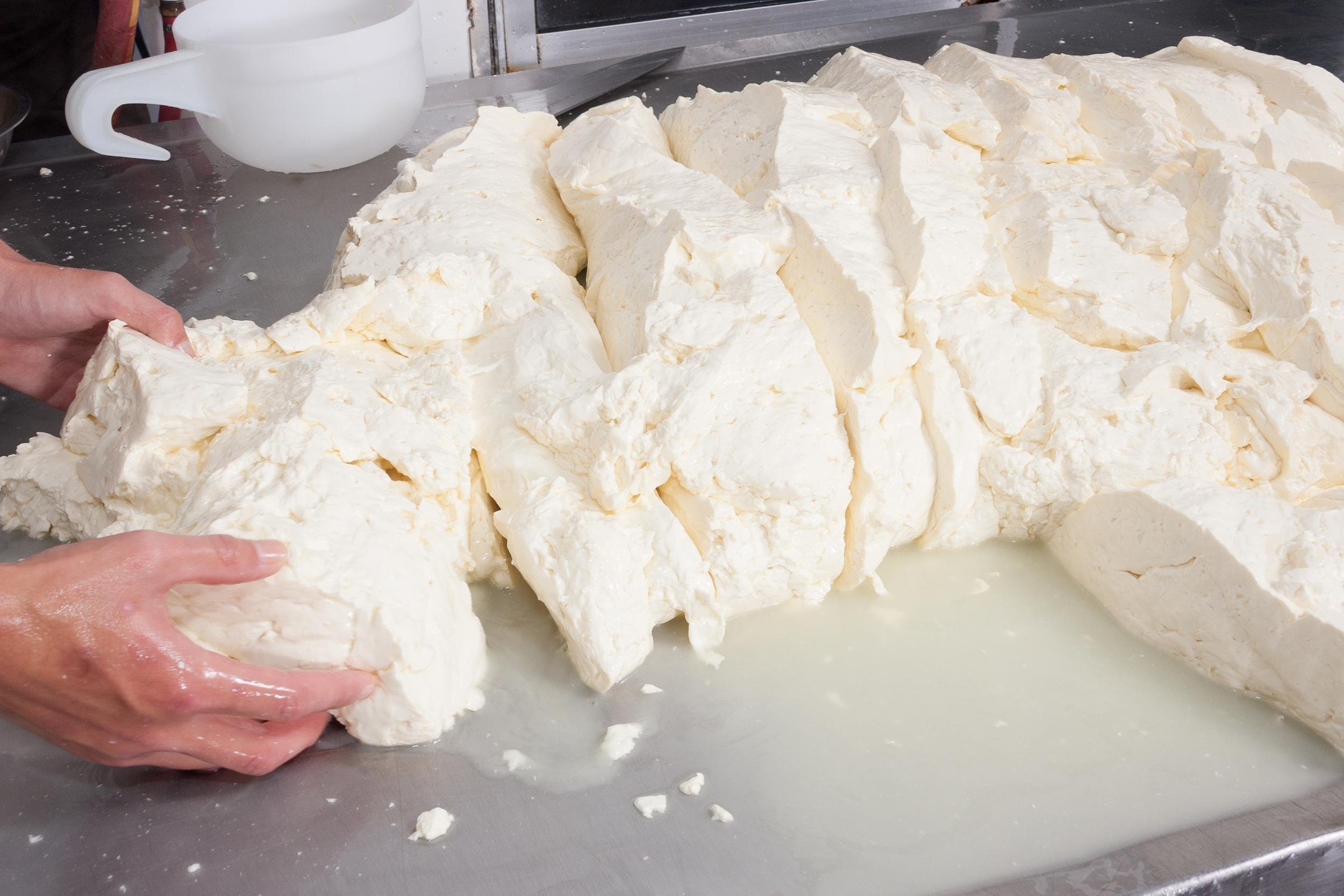 WISCONSIN CHEESE TOUR