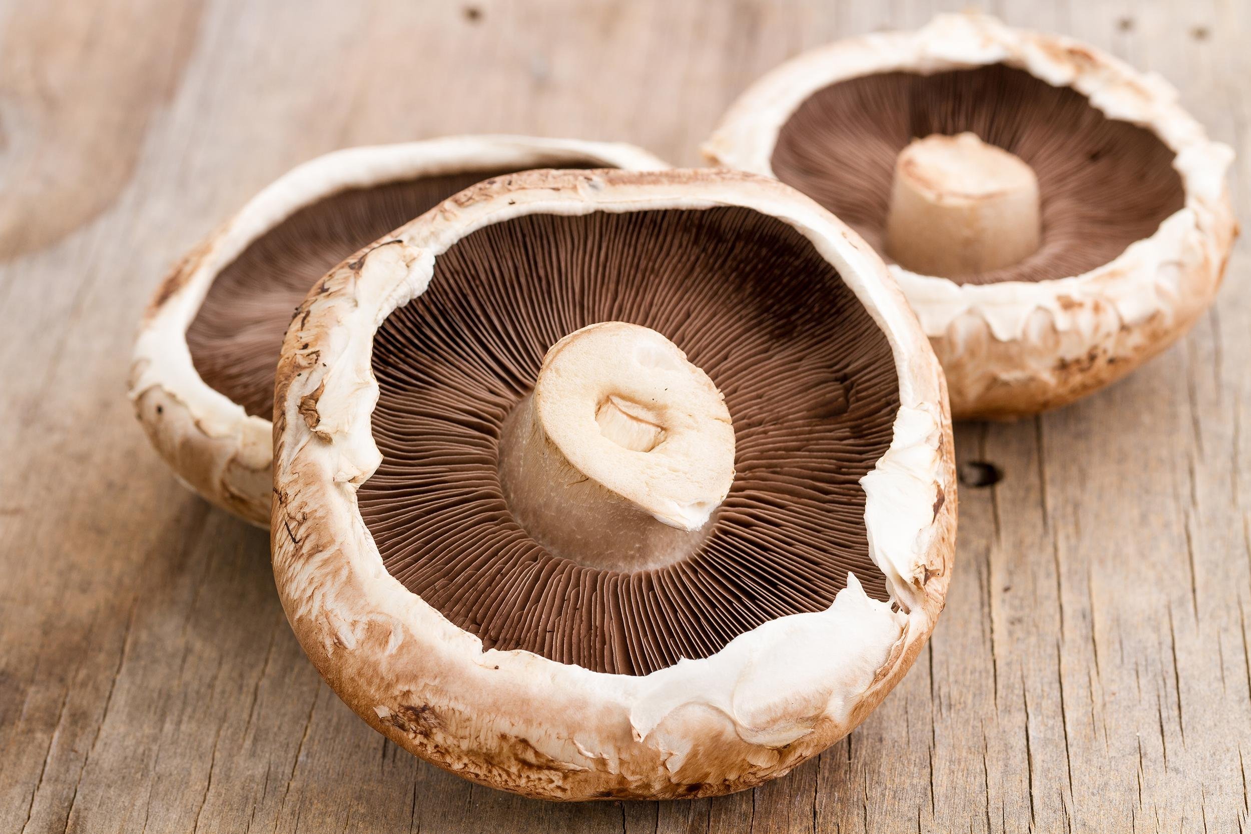MUSHROOM BURGER