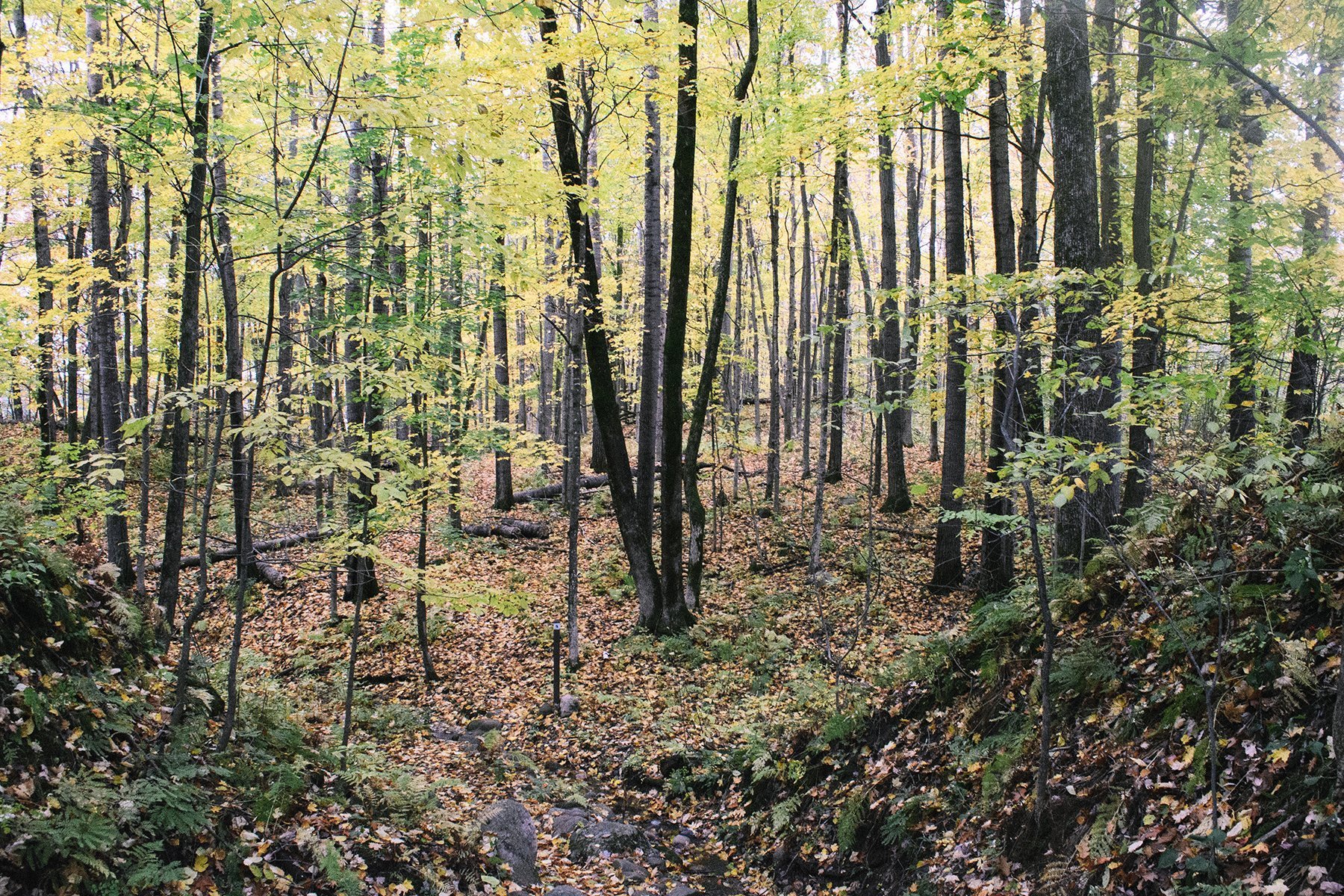 Ice Age National Scenic Trail
