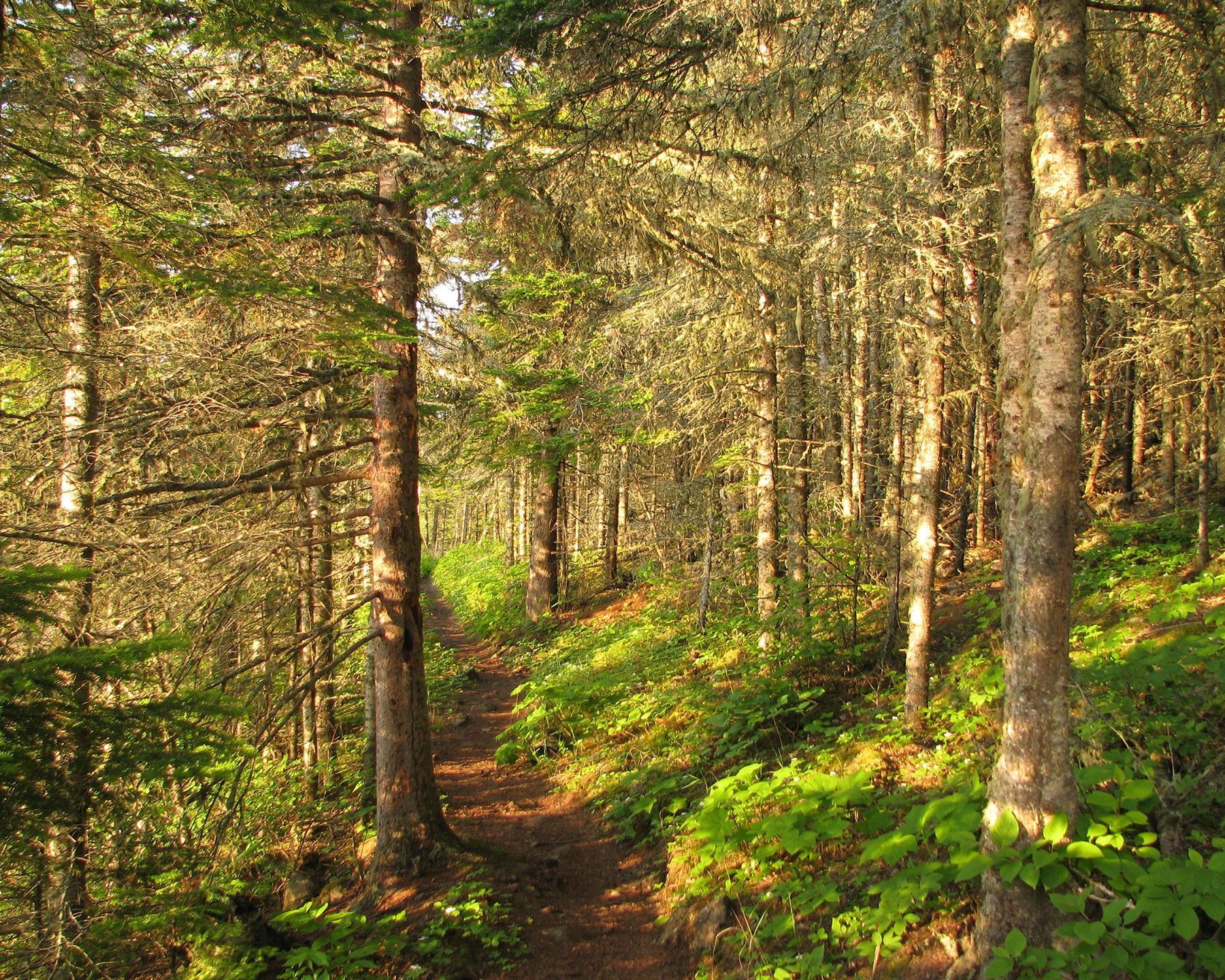 Greenstone Ridge Trail