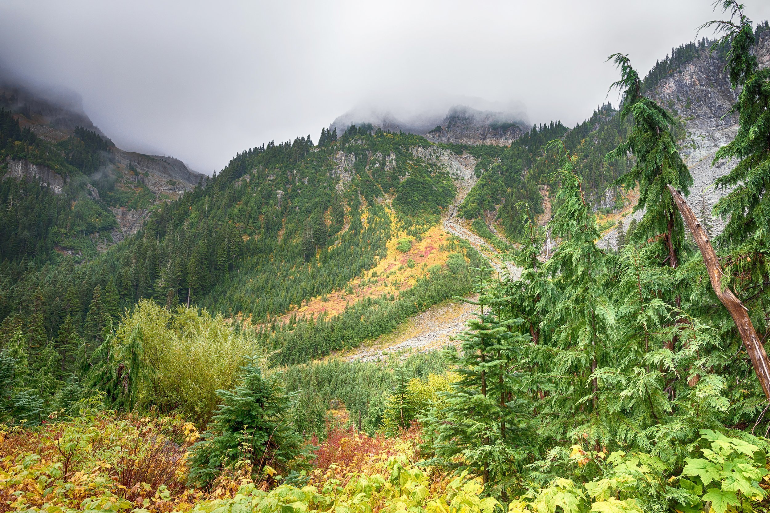 Wonderland Trail