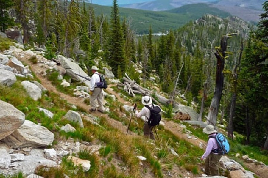 Gospel Hump Loop