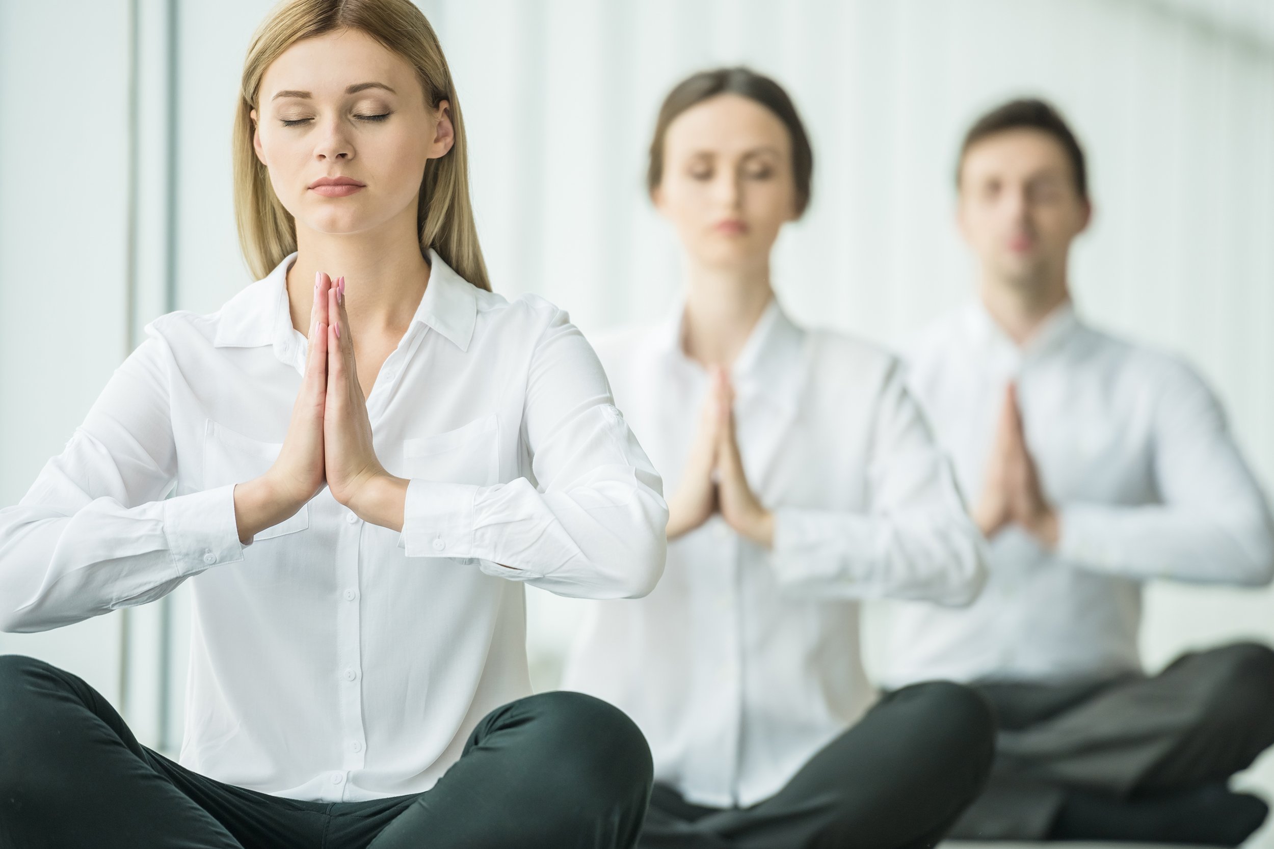 Wellness Program