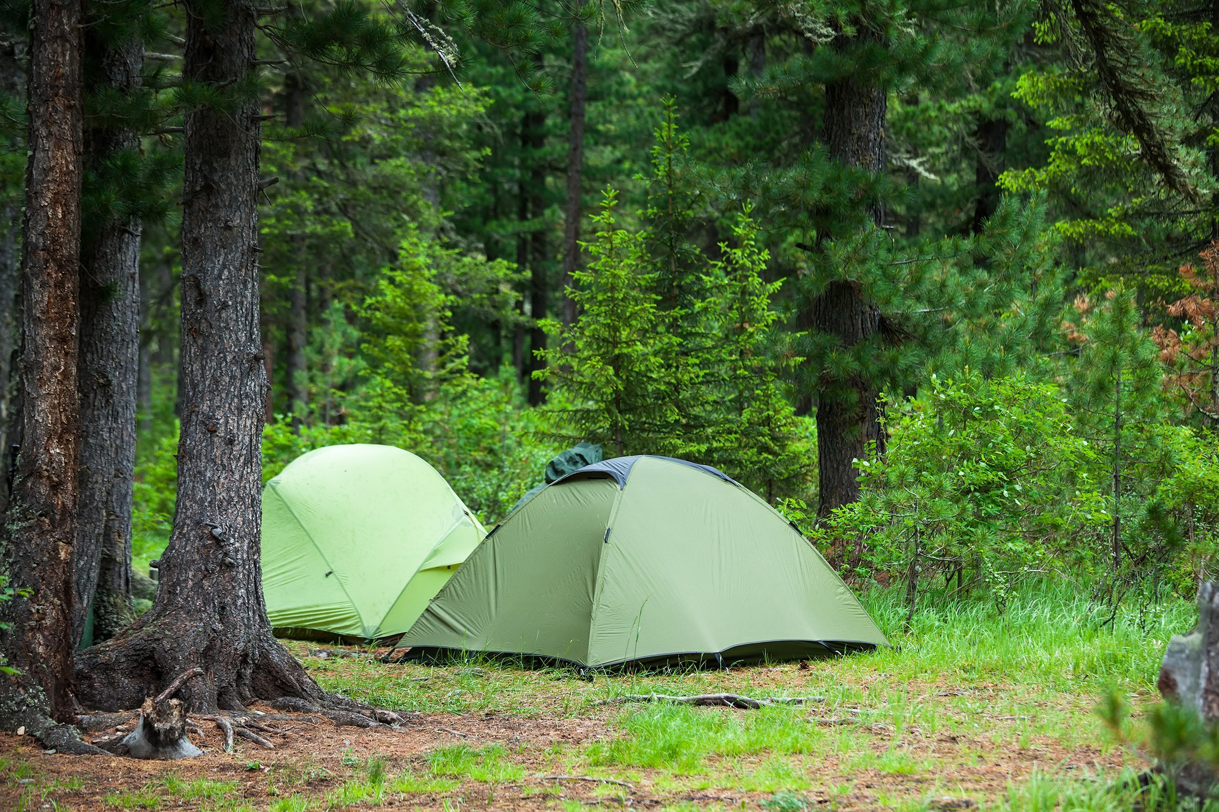 GO CAMPING