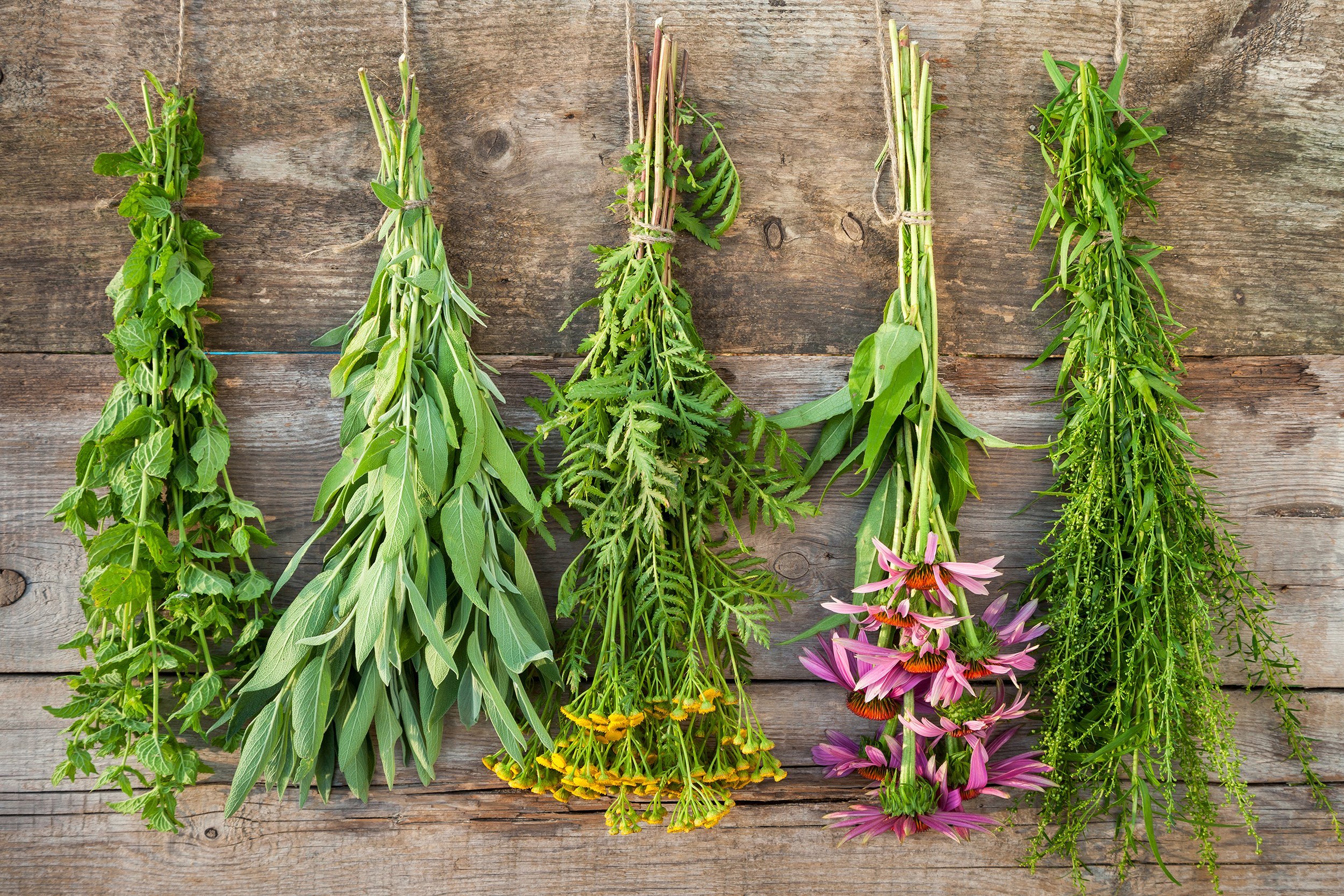 REFRESHING HERBAL PUNCH