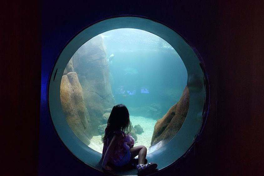 Waikiki Aquarium, Honolulu, Hawaii