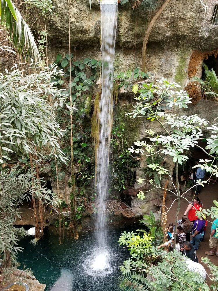 Dallas World Aquarium
