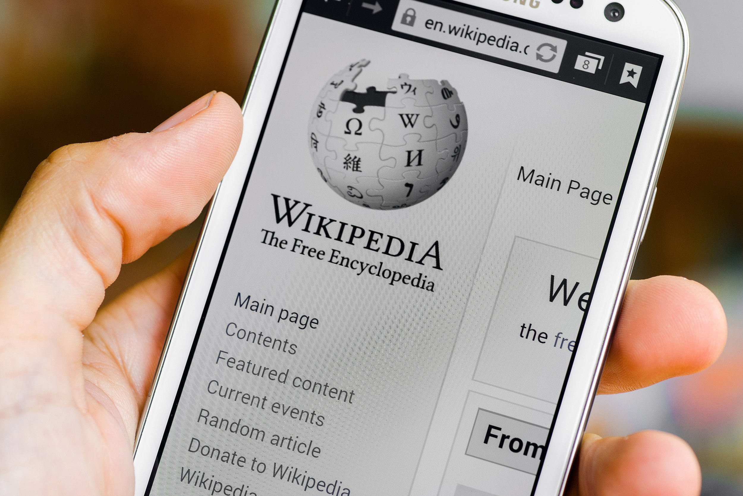 Wikipedia on cell phone