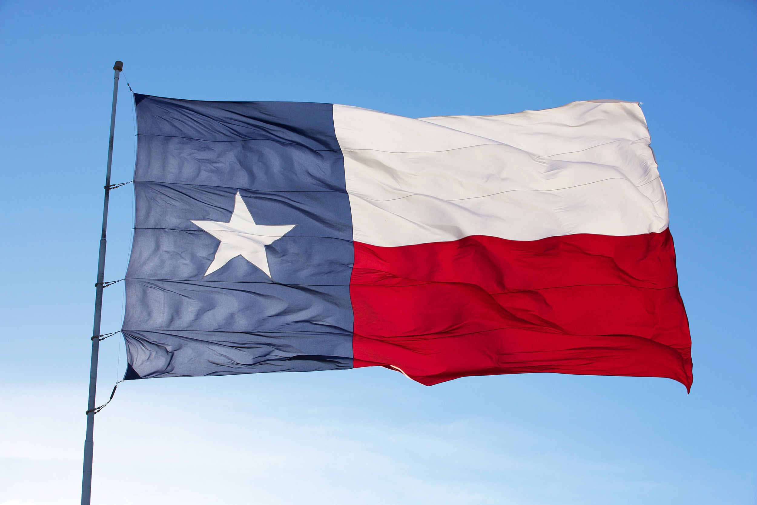 Texas flag
