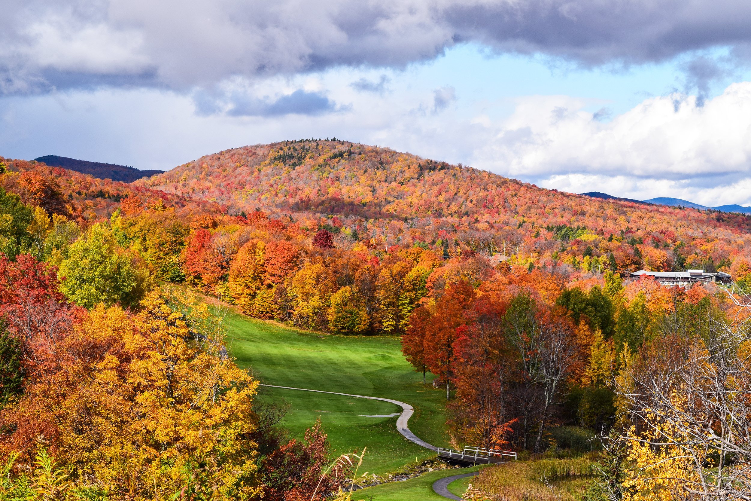 fall foliage in Vermont