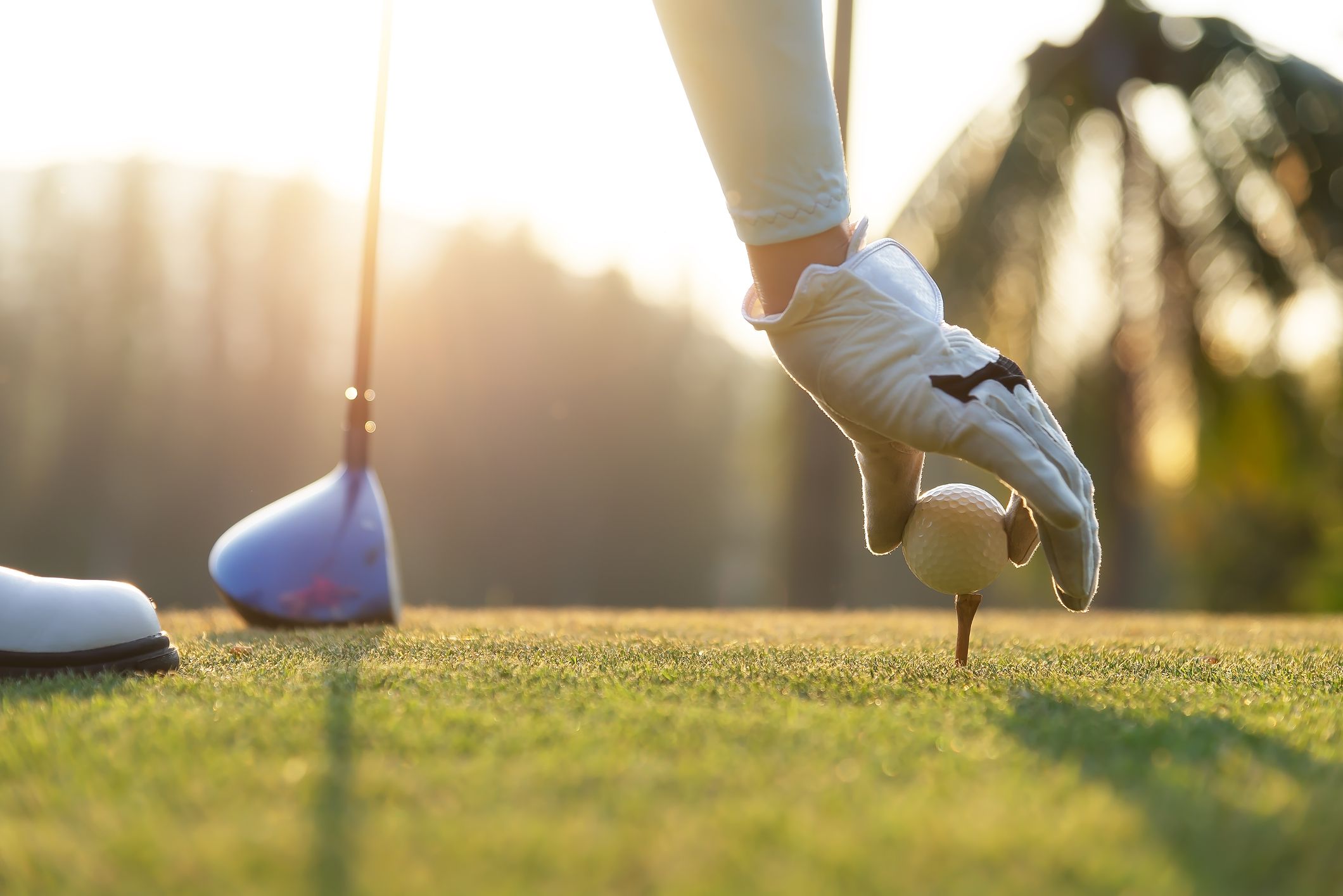 hand of woman golf player gentle put a golf ball onto wooden tee on the tee off, to make ready hit away from tee off to the fairway ahead