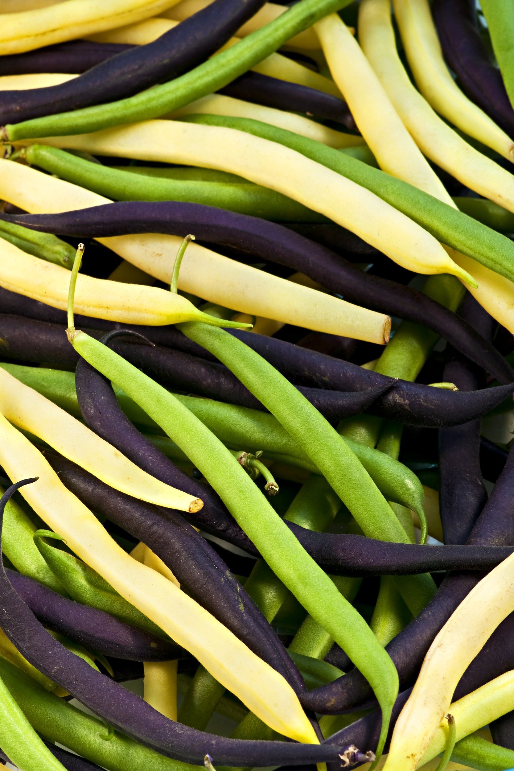 purple, green, and yellow beans