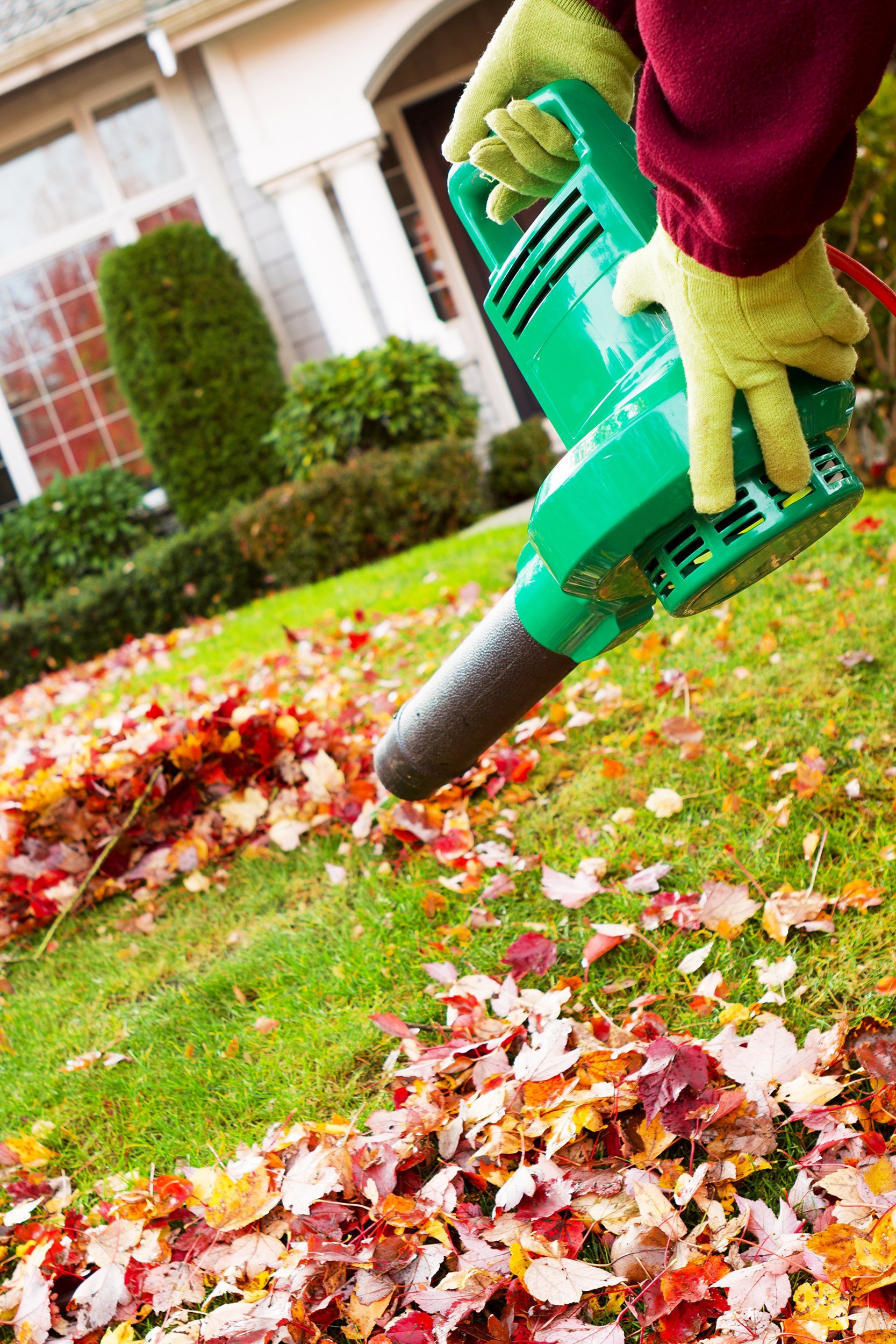 leaf blower blowing leaves