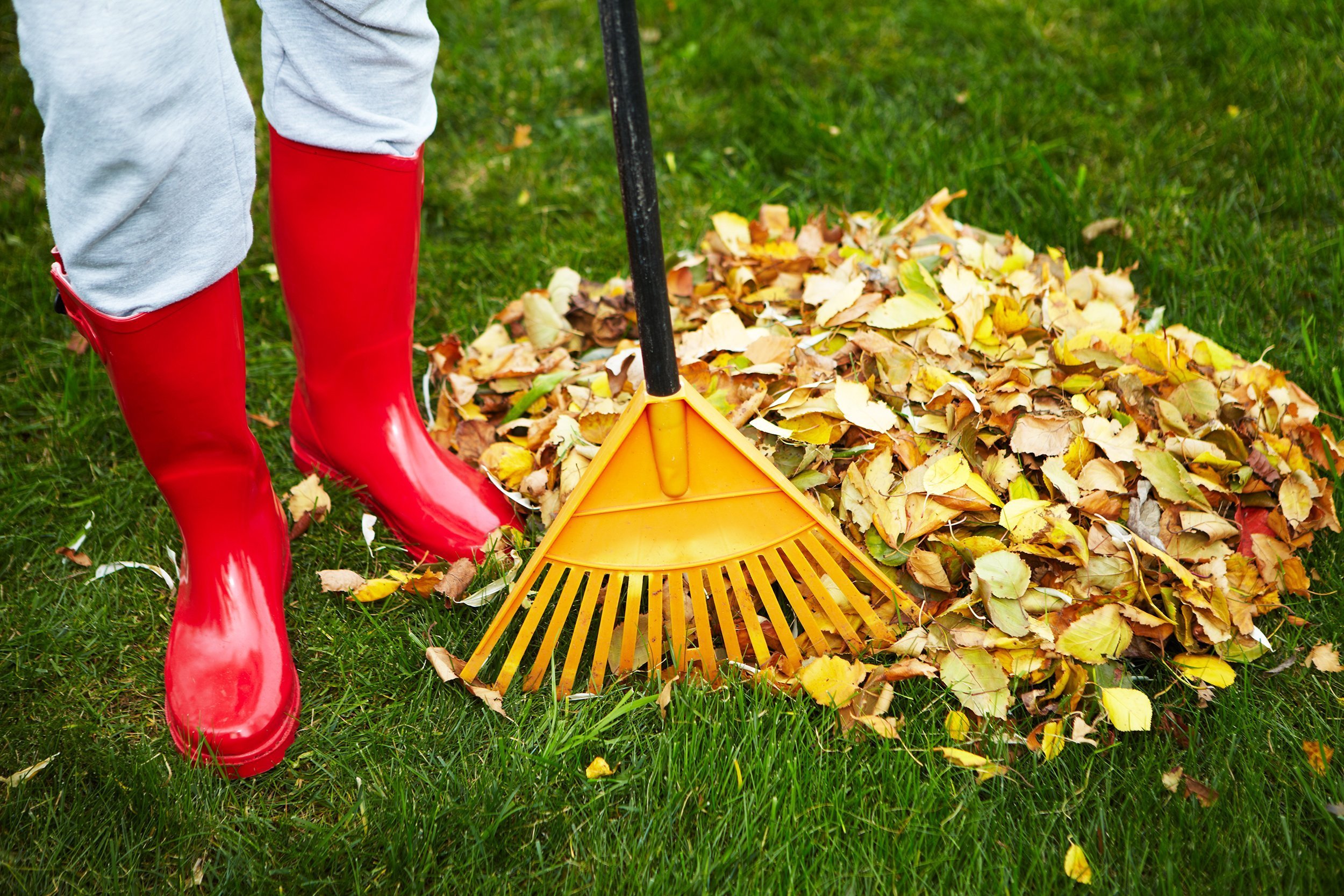 woman in red boots raking autumn leaves in backyard