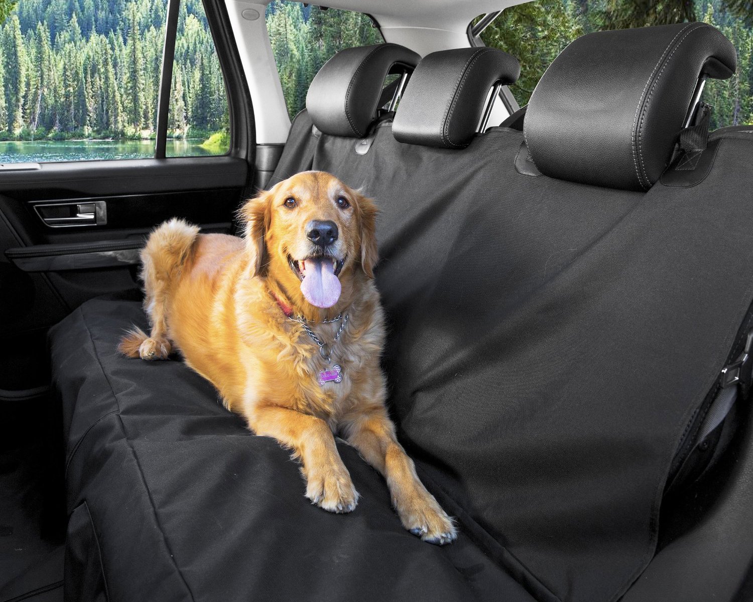 pet seat cover