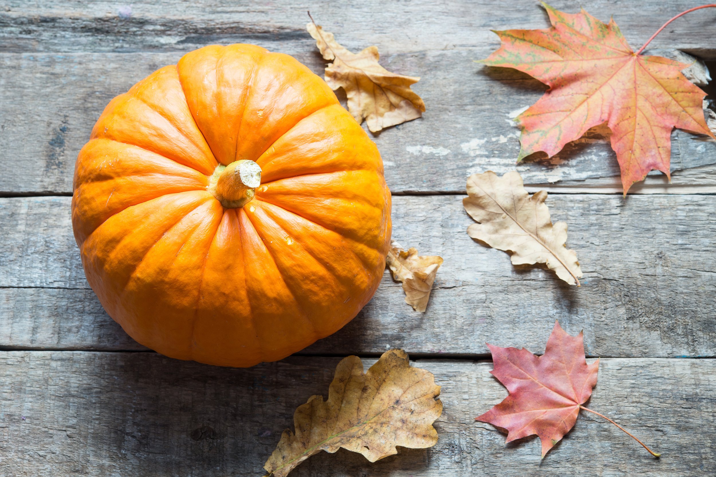 orange pumpkin on wood background