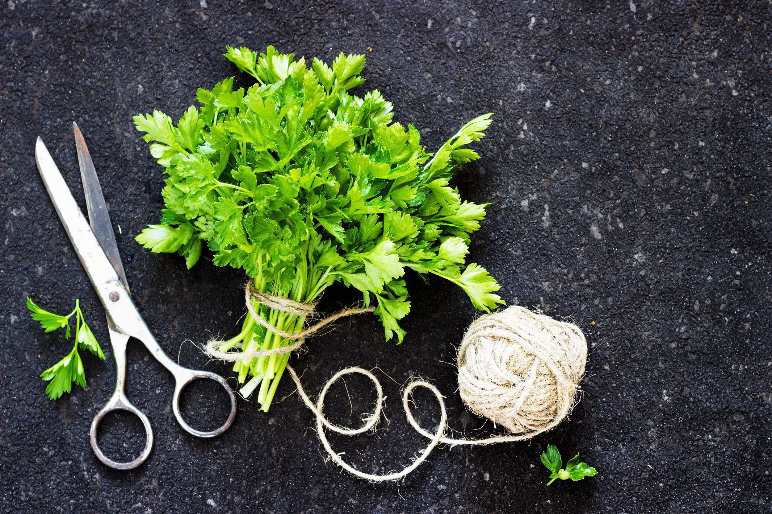 green parsley on dark background linen thread tangle