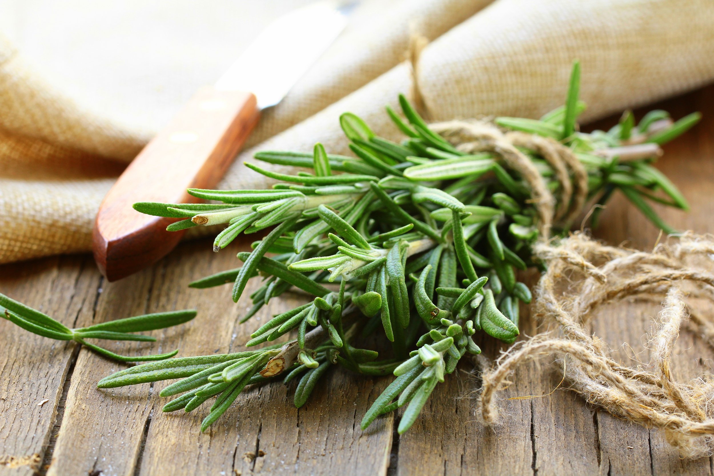 bunch of fresh rosemary on the table