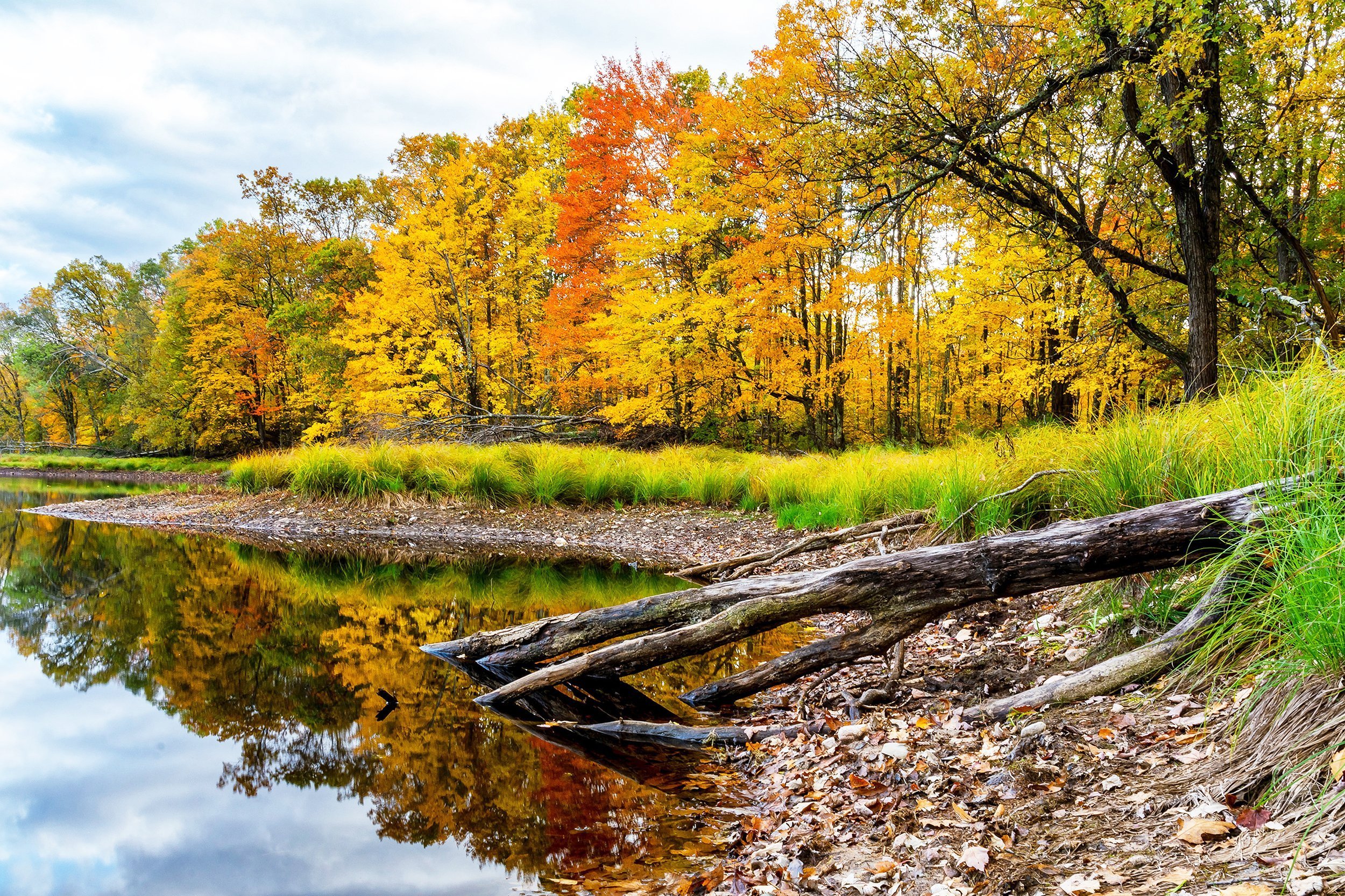 fall in Northwoods, Wisconsin