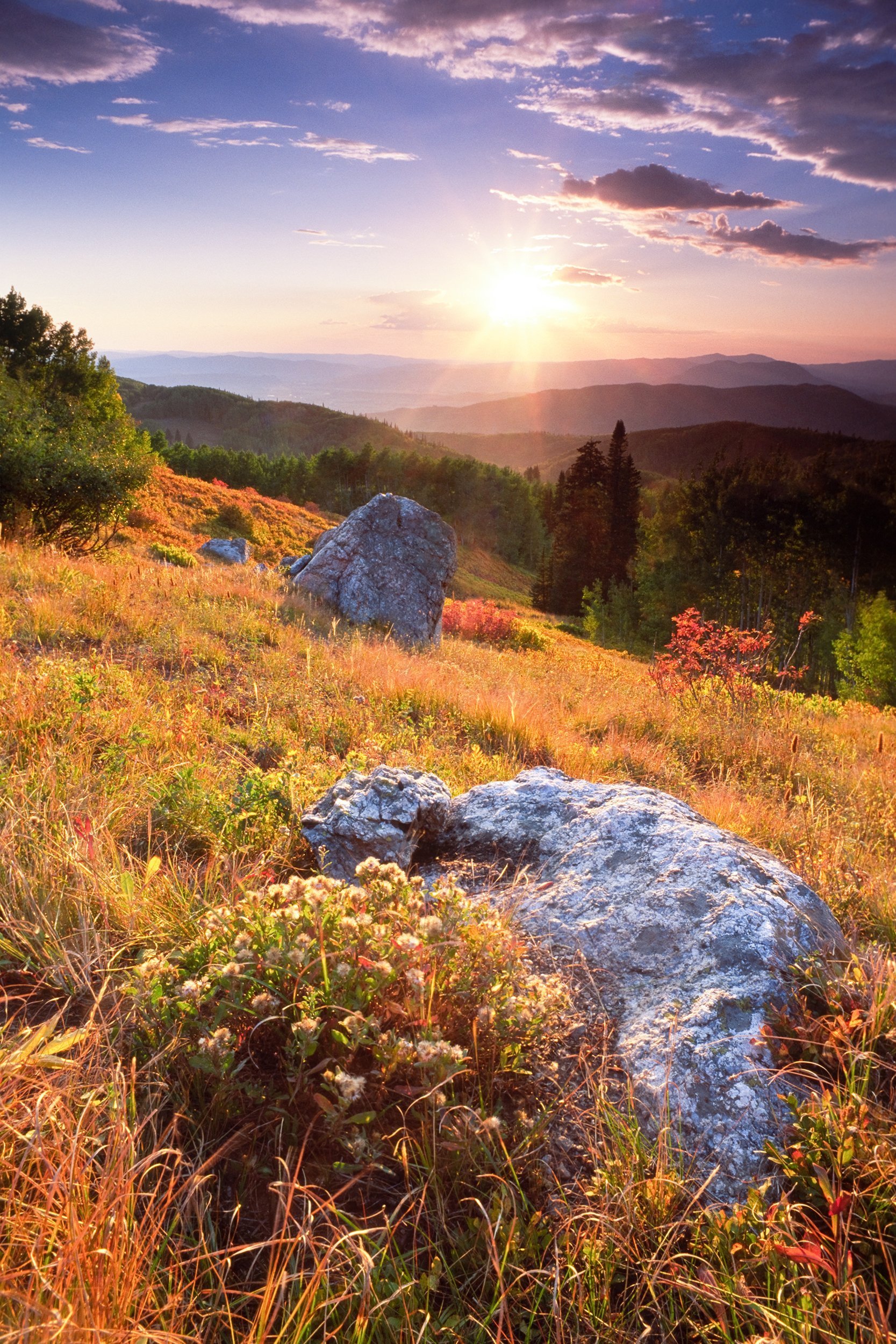 fall in Routt National Forest, Colorado