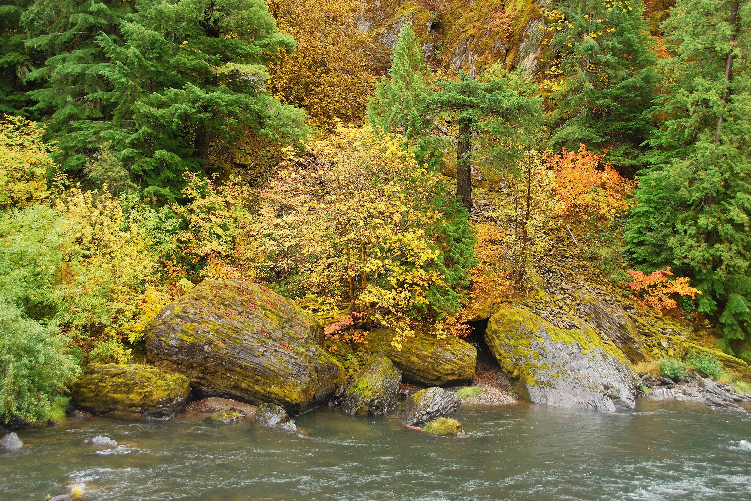 fall colors along the North Umpqua River, Oregon