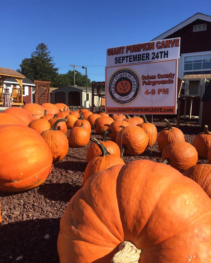 Giant Pumpkin Carve in Woodstown