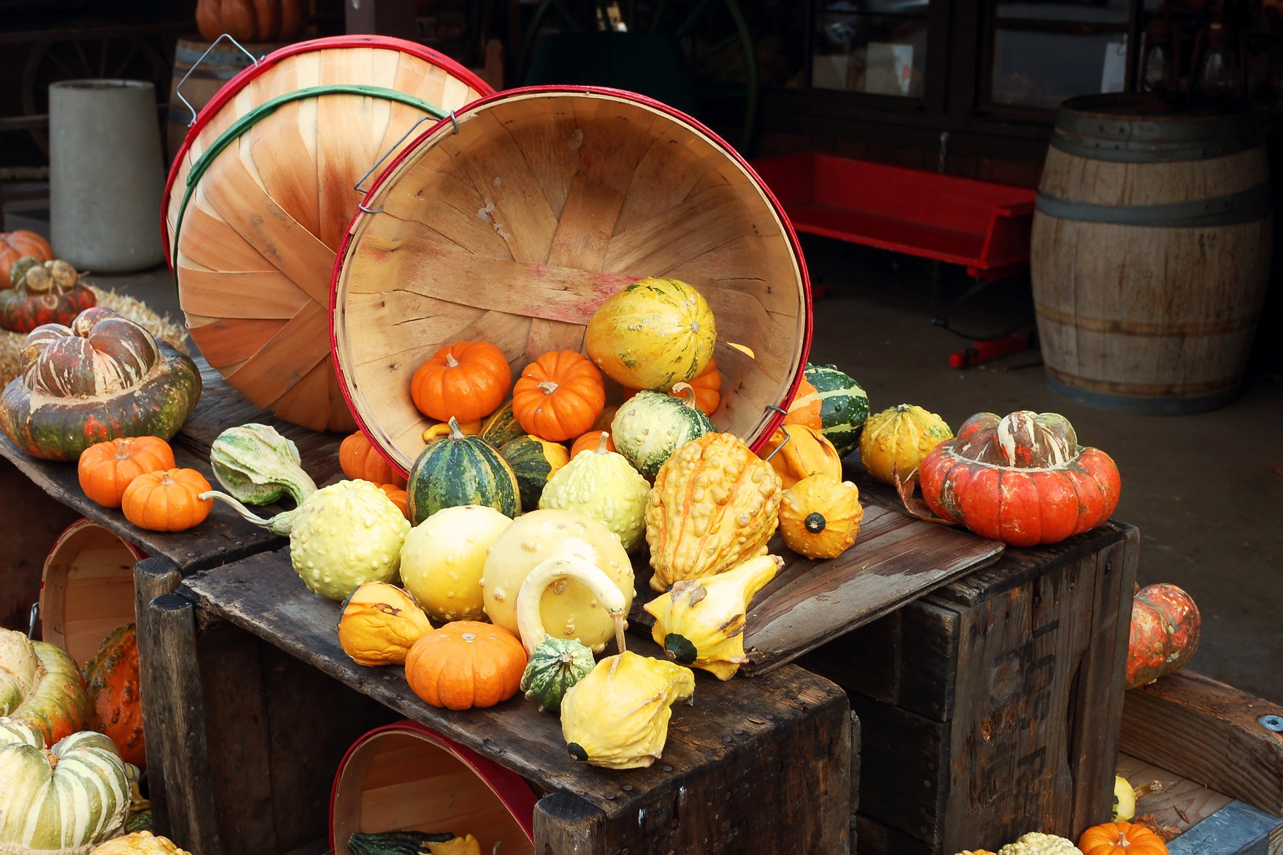 outdoor fall harvest display of produce