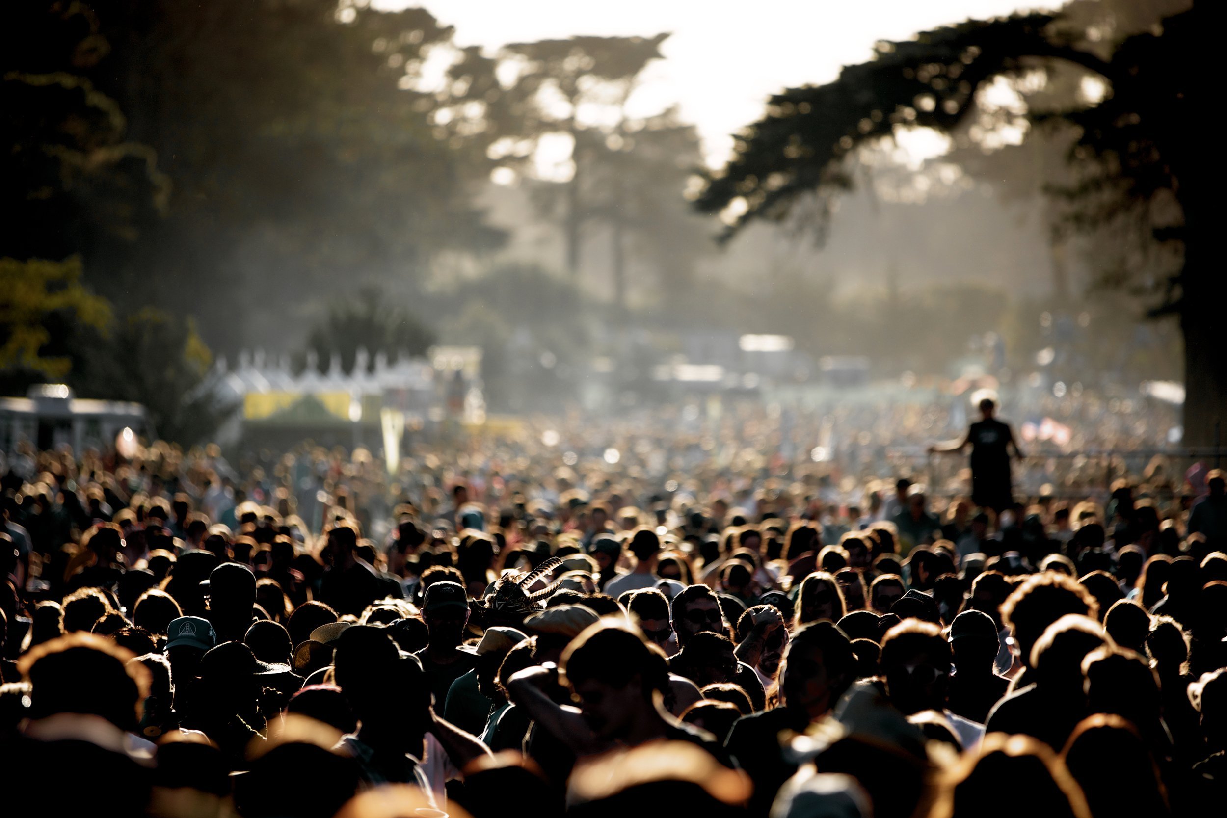 Hardly Strictly Bluegrass in San Francisco