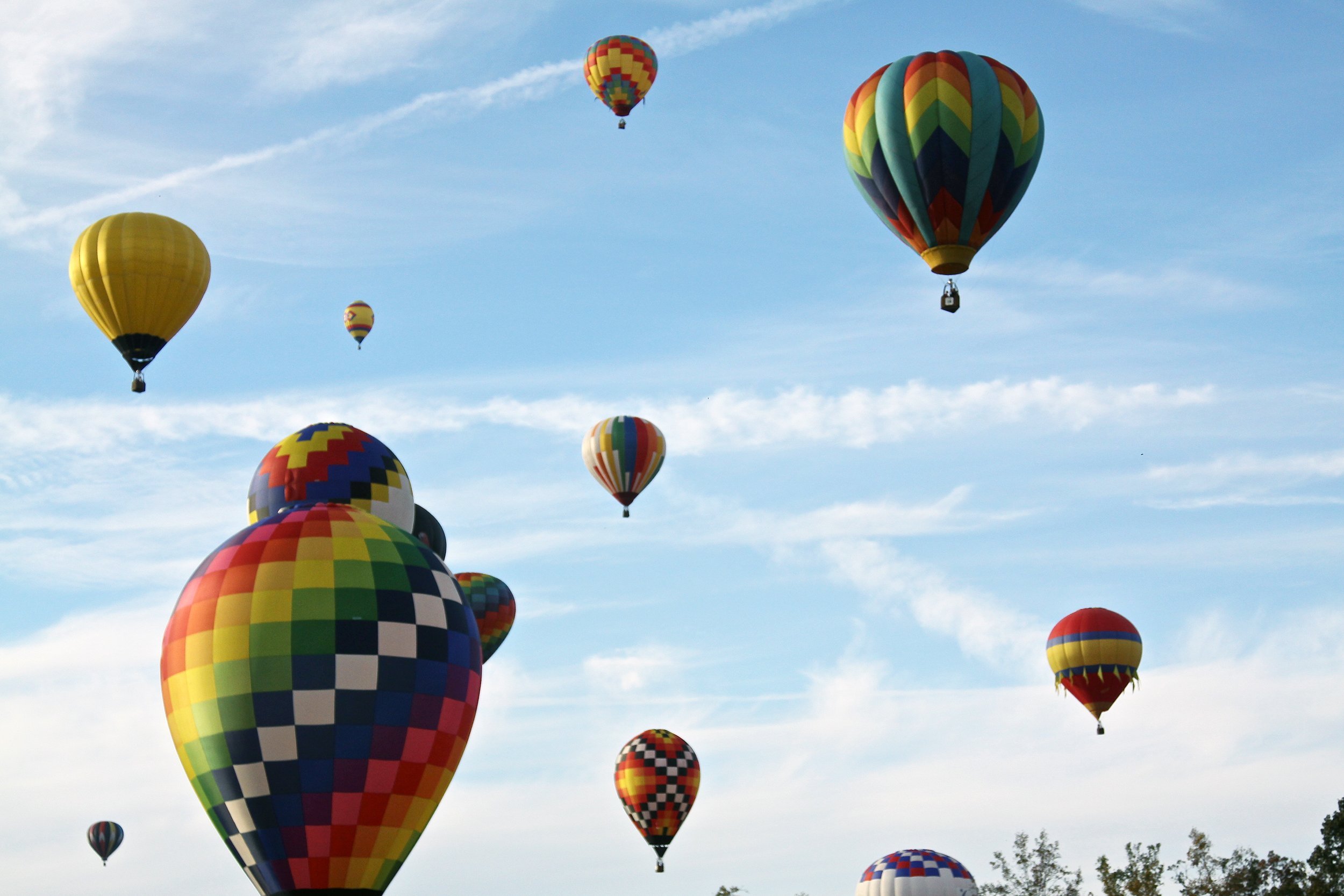 Carolina Balloon Fest