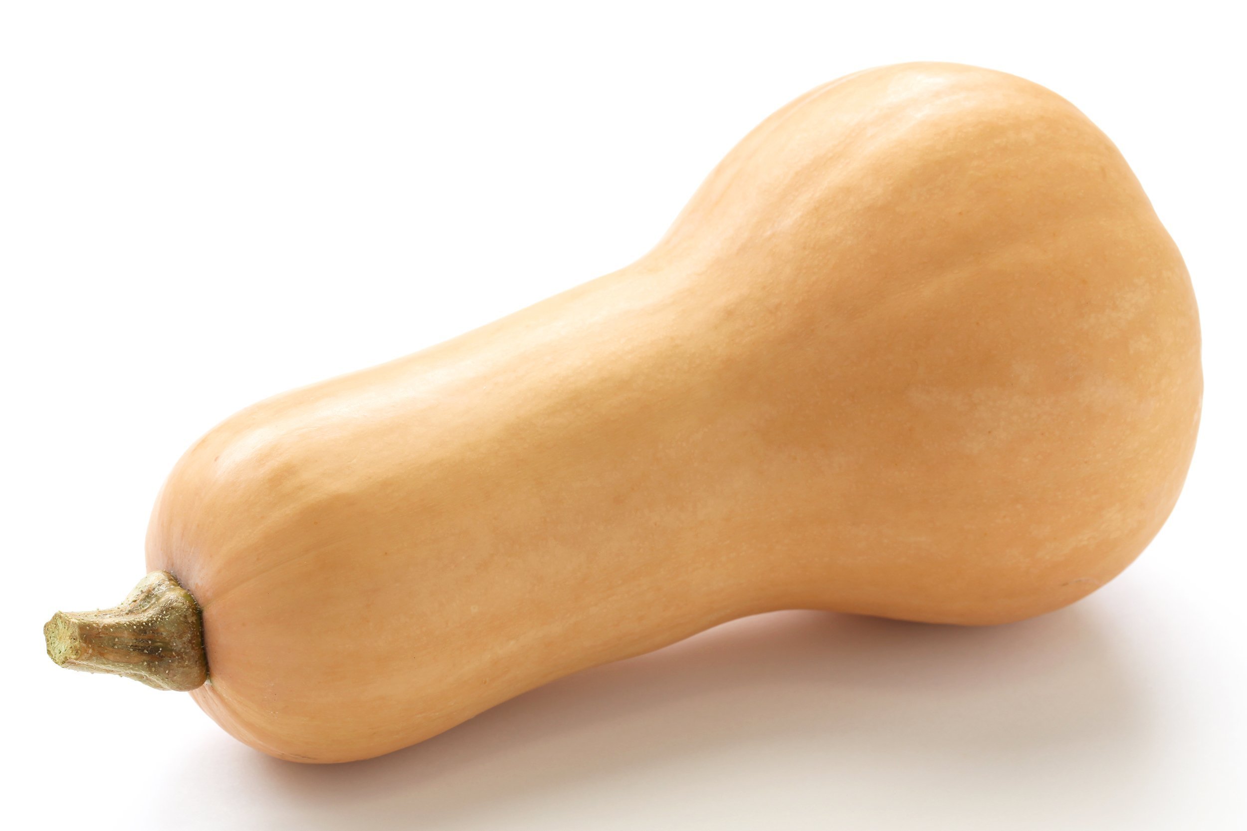 butternut squash