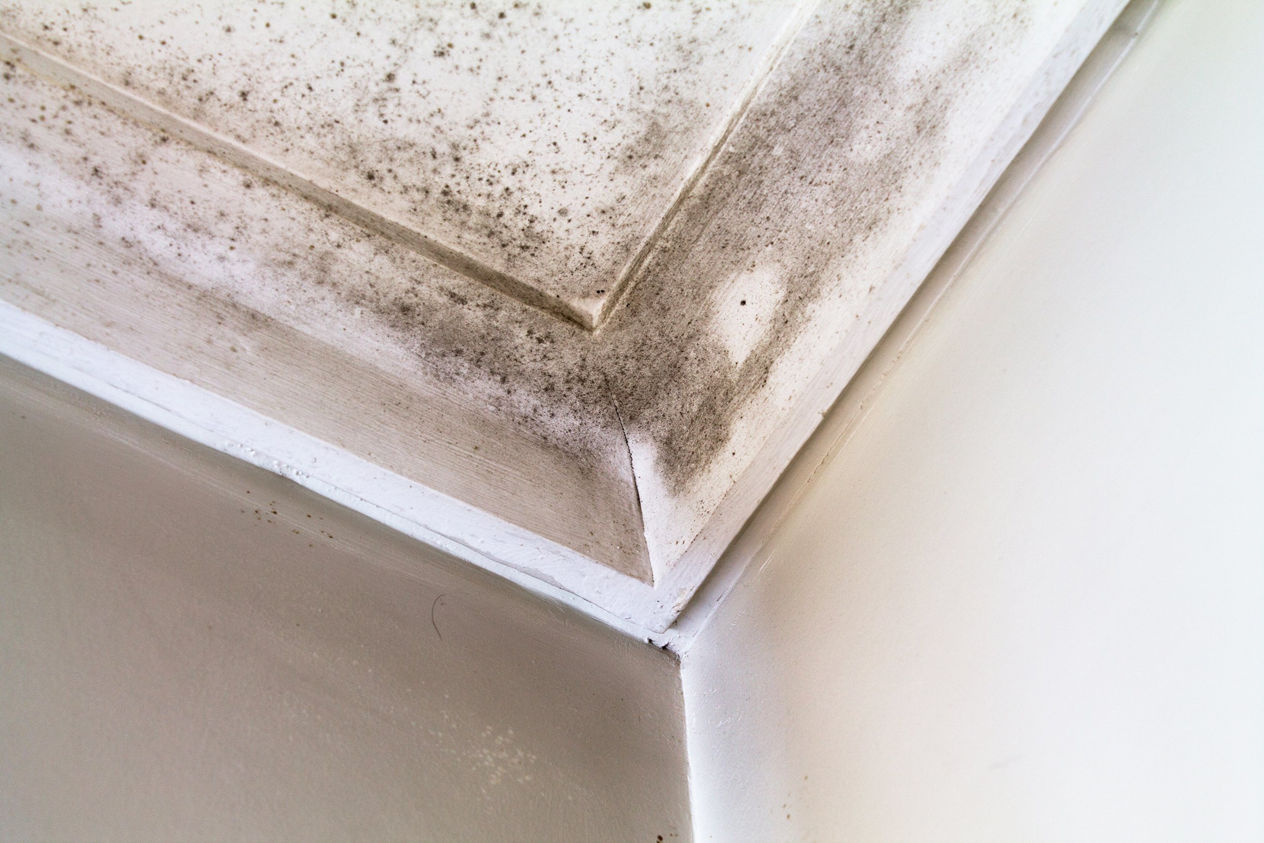 water stains on the ceiling of a room