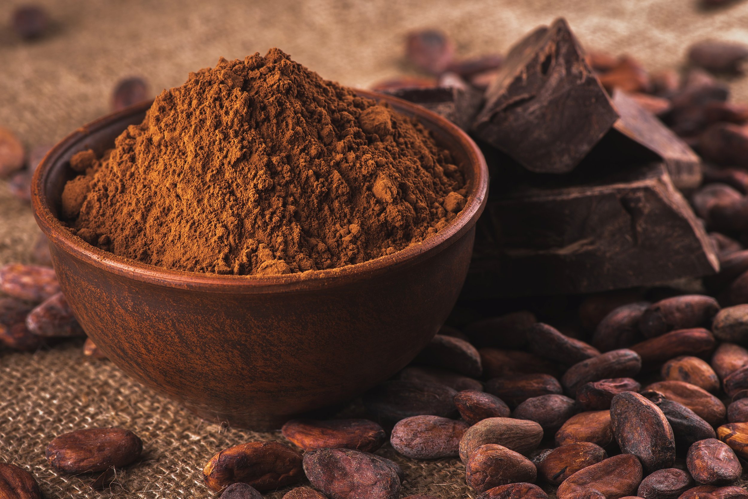 crude dark cocoa powder in a brown ceramic bowl